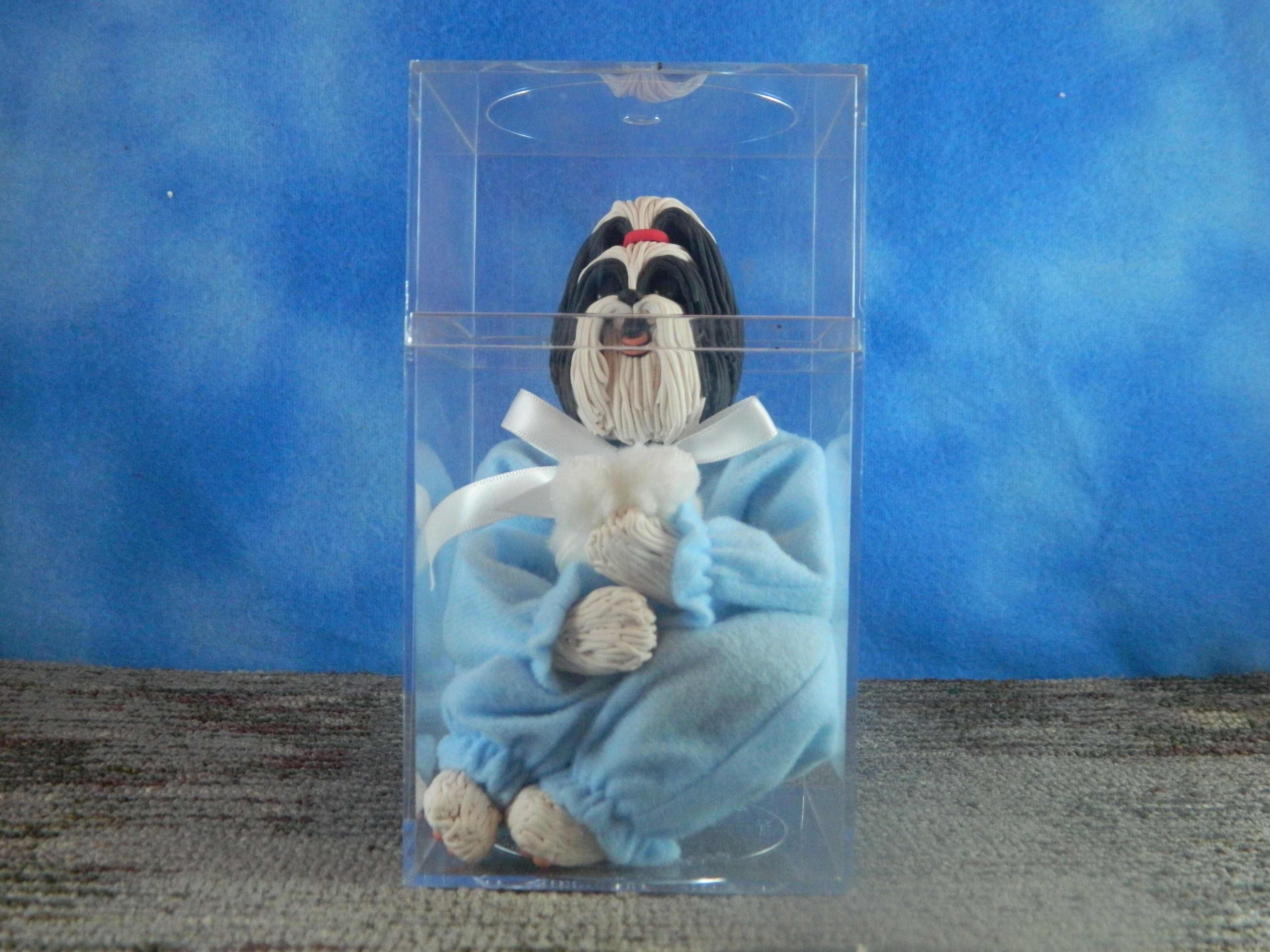 Cecile large Shih tzu in a plastic Box