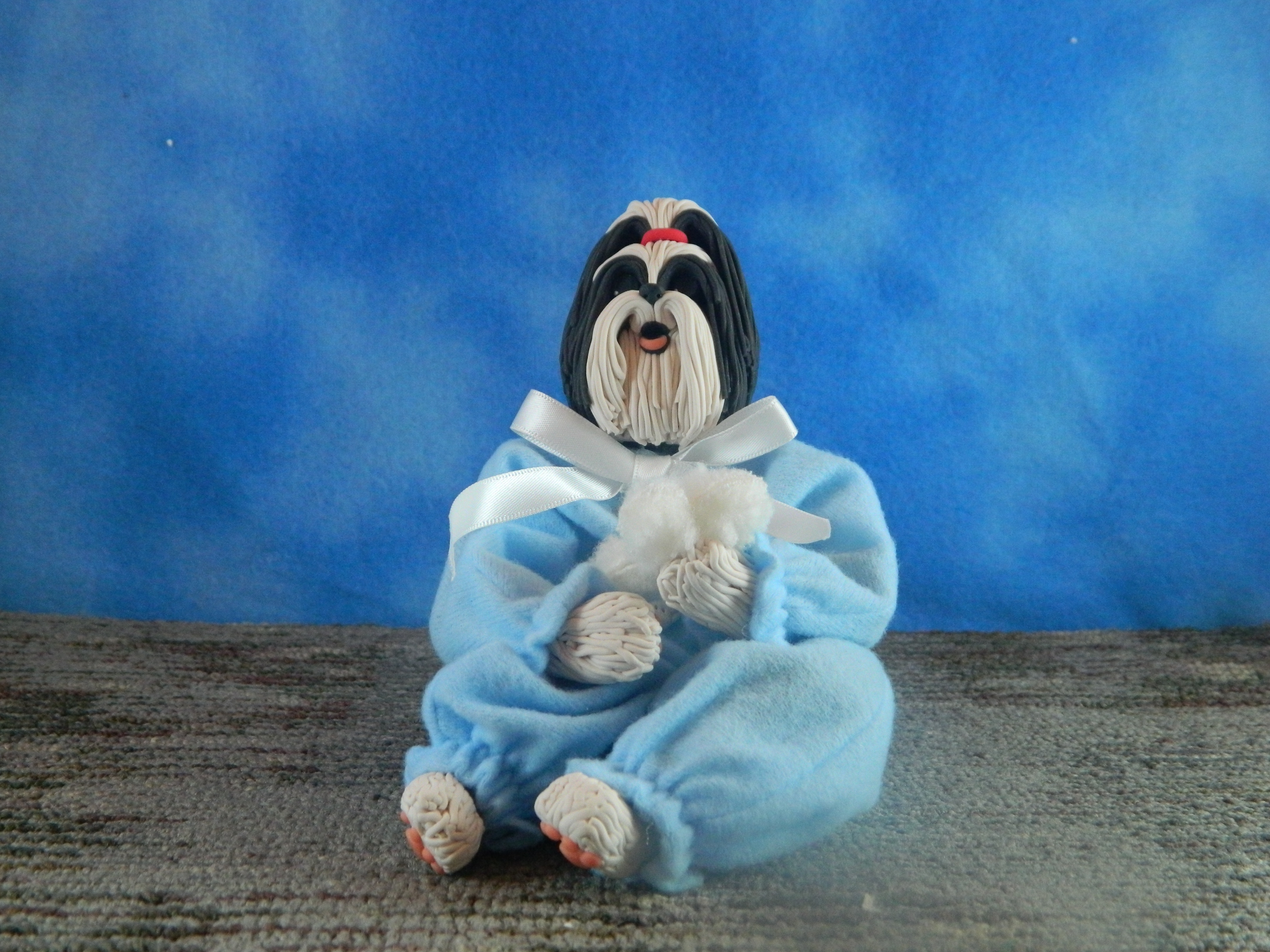 Cecile large Shih tzu in a plastic Box