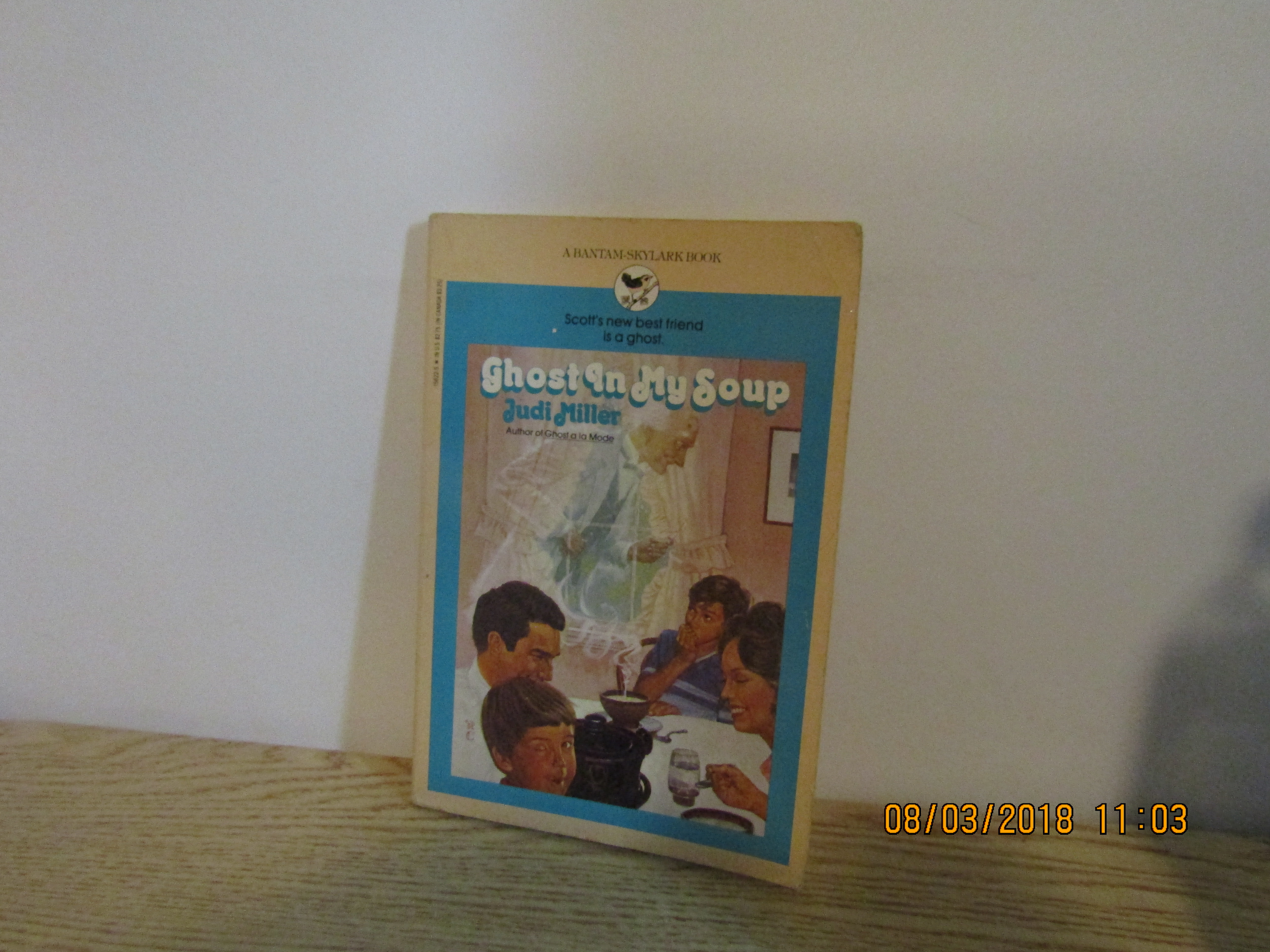 Vintage Young Persons Book Ghost In My Soup