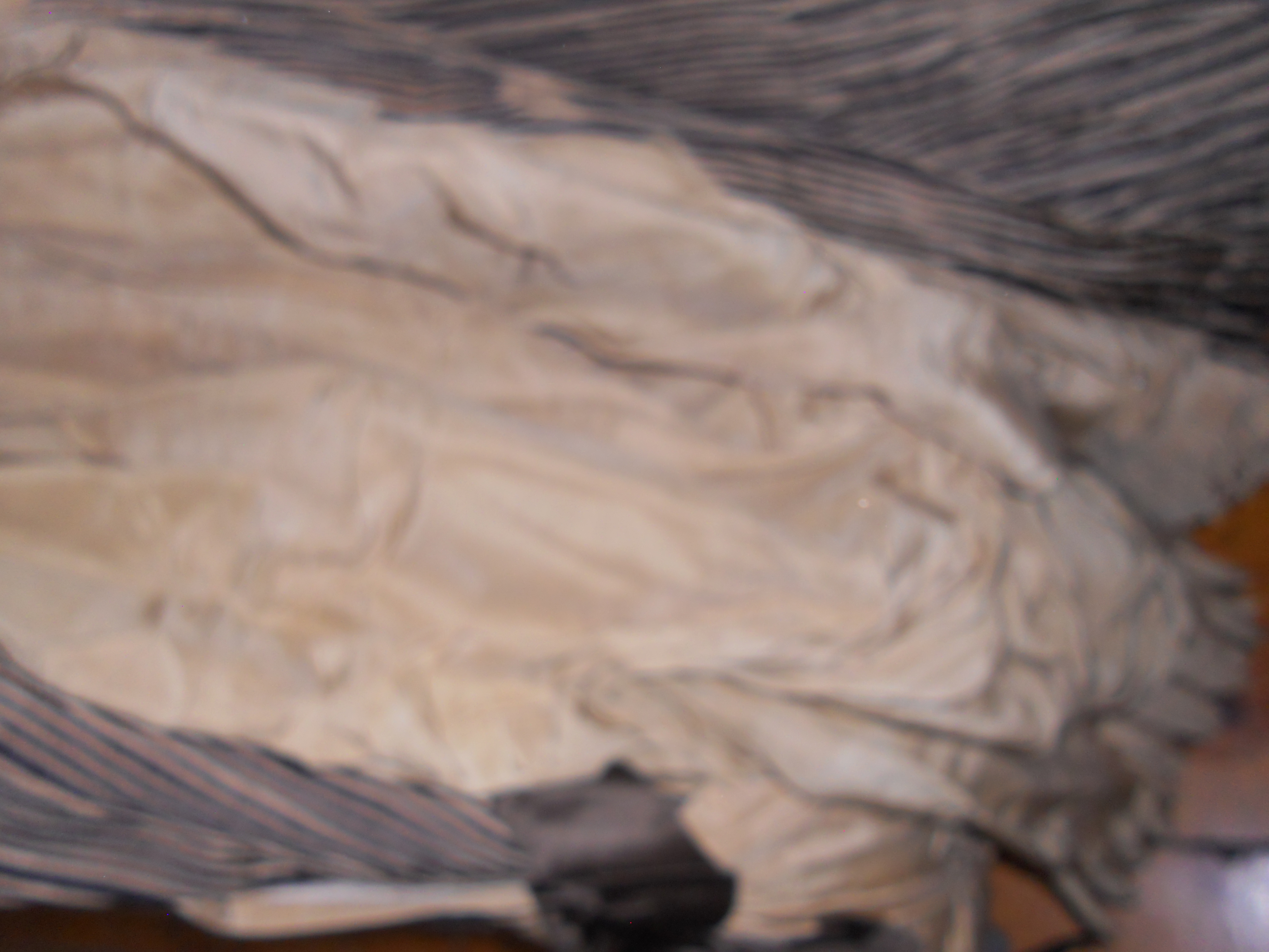 Civil War Era Womens Skirt