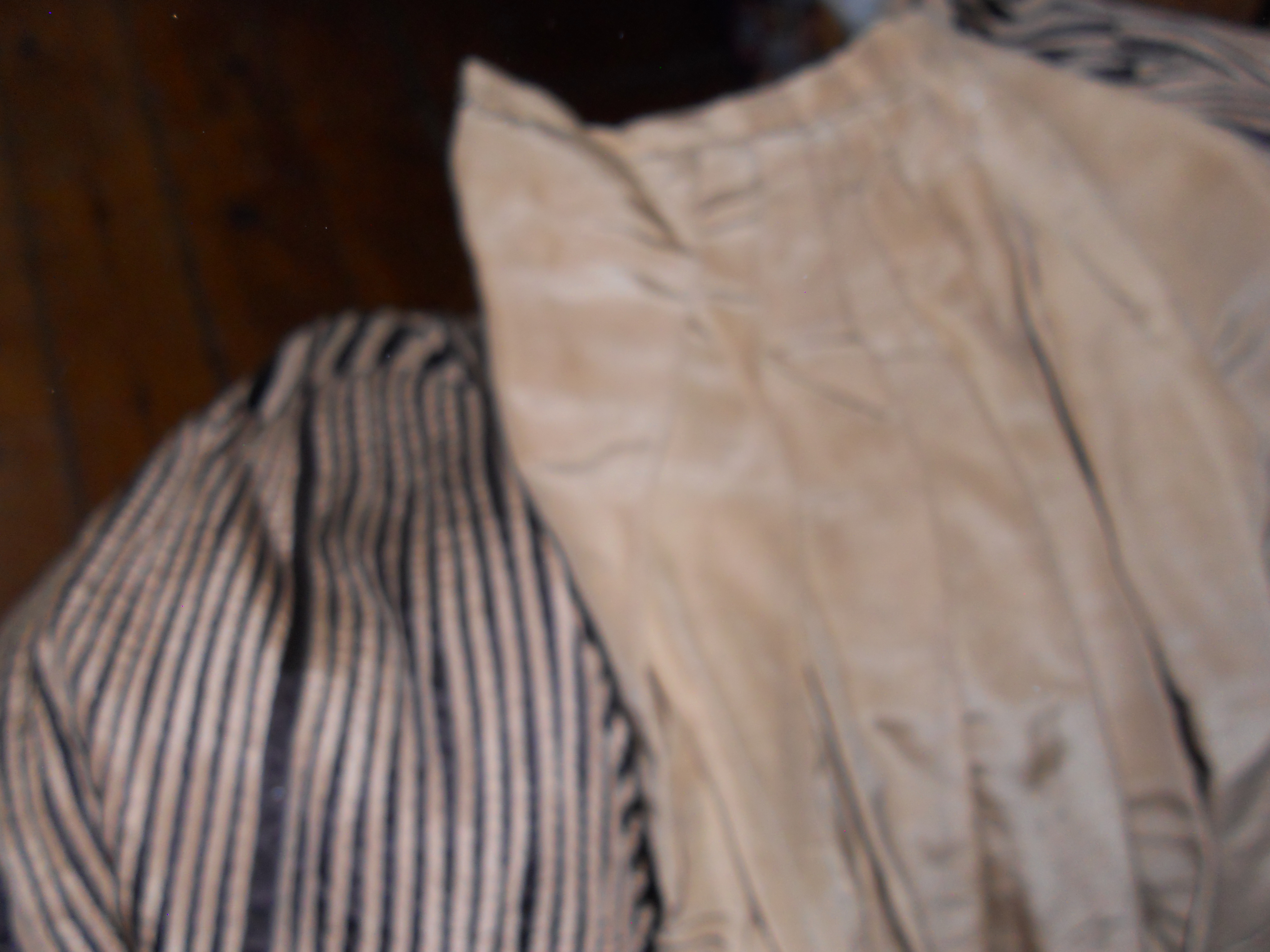 Civil War Era Womens Skirt