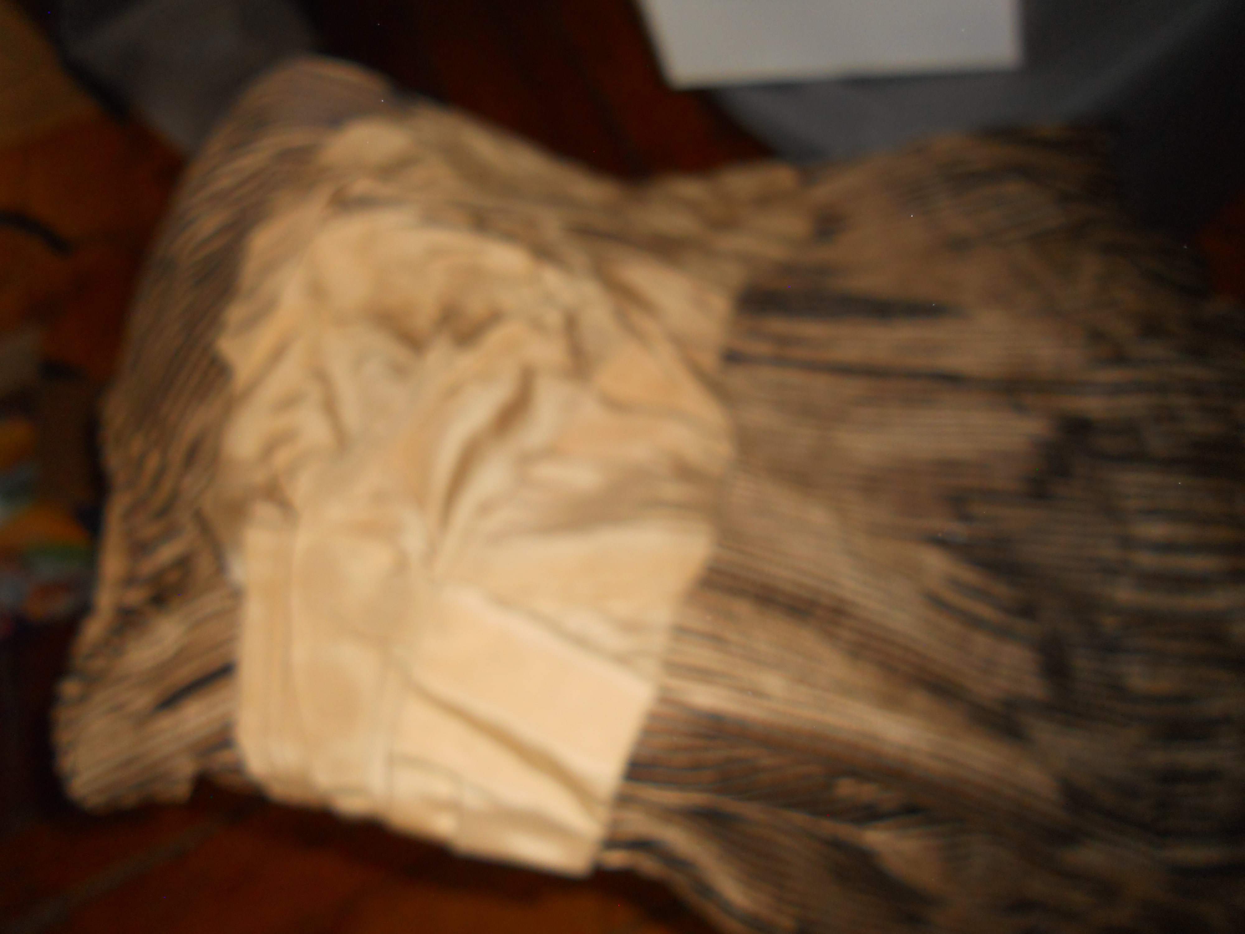 Civil War Era Womens Skirt