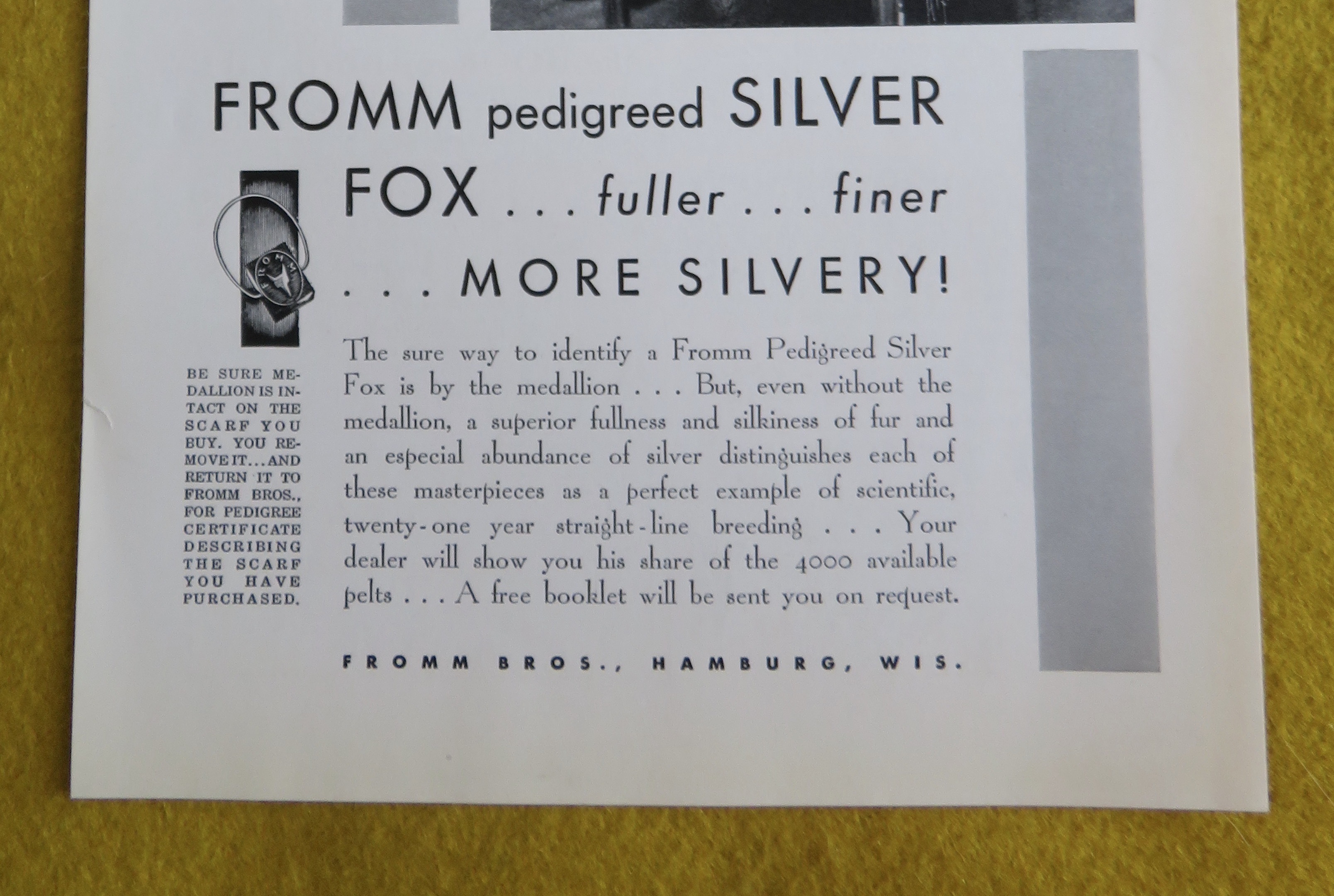 1930 Fromm Pedigreed Silver Fox with Lovely Woman