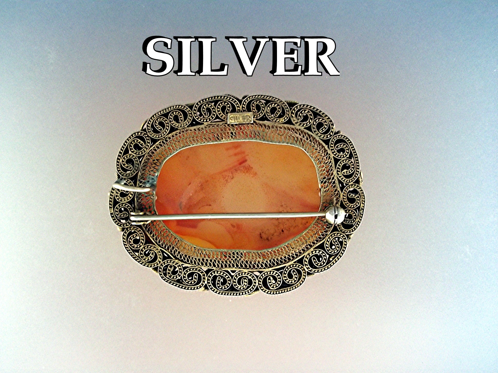 Brooh Pin Silver Enamel Carved Carnelian Jade