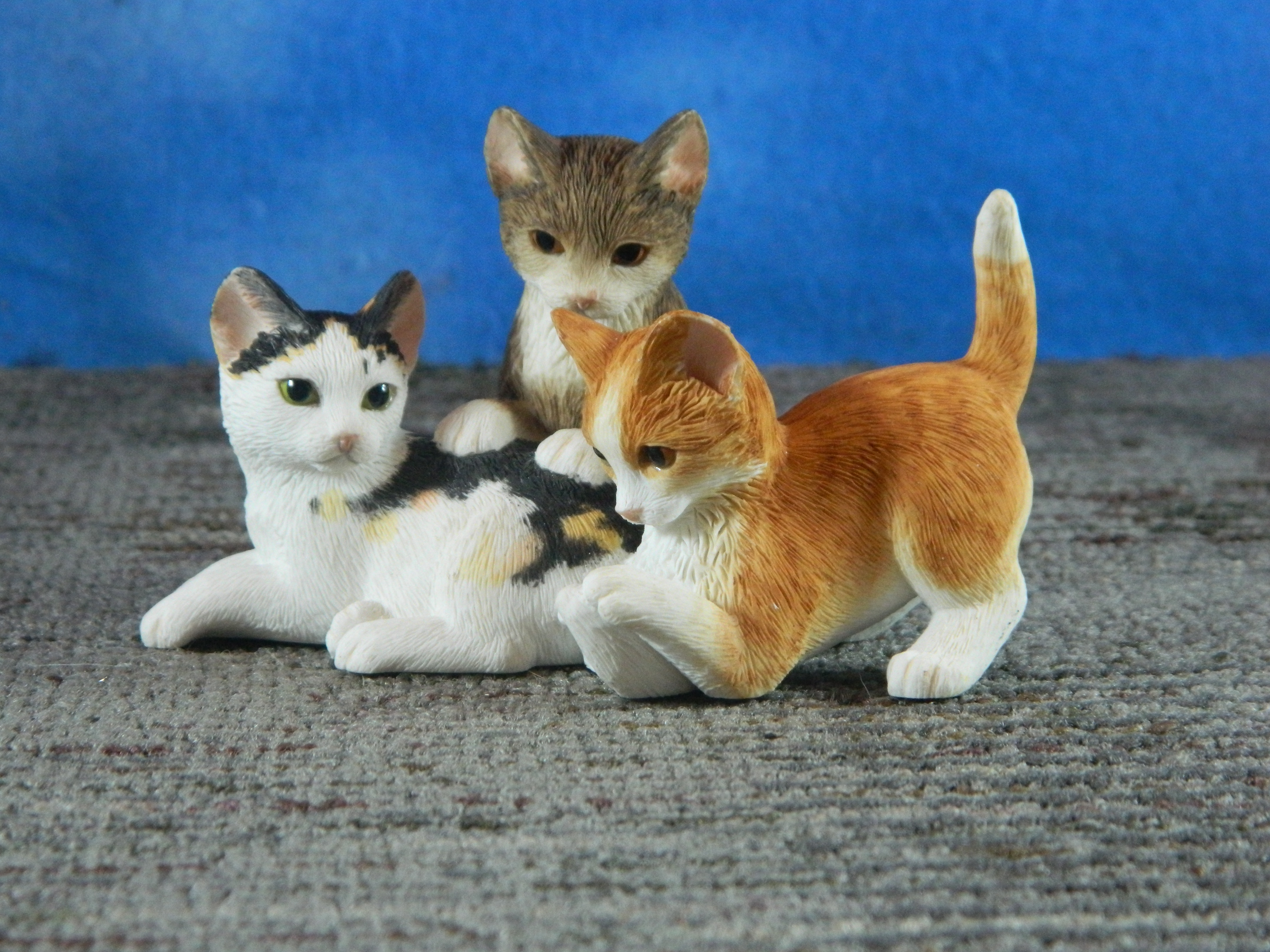 Country Artists Kitten Trio Playing