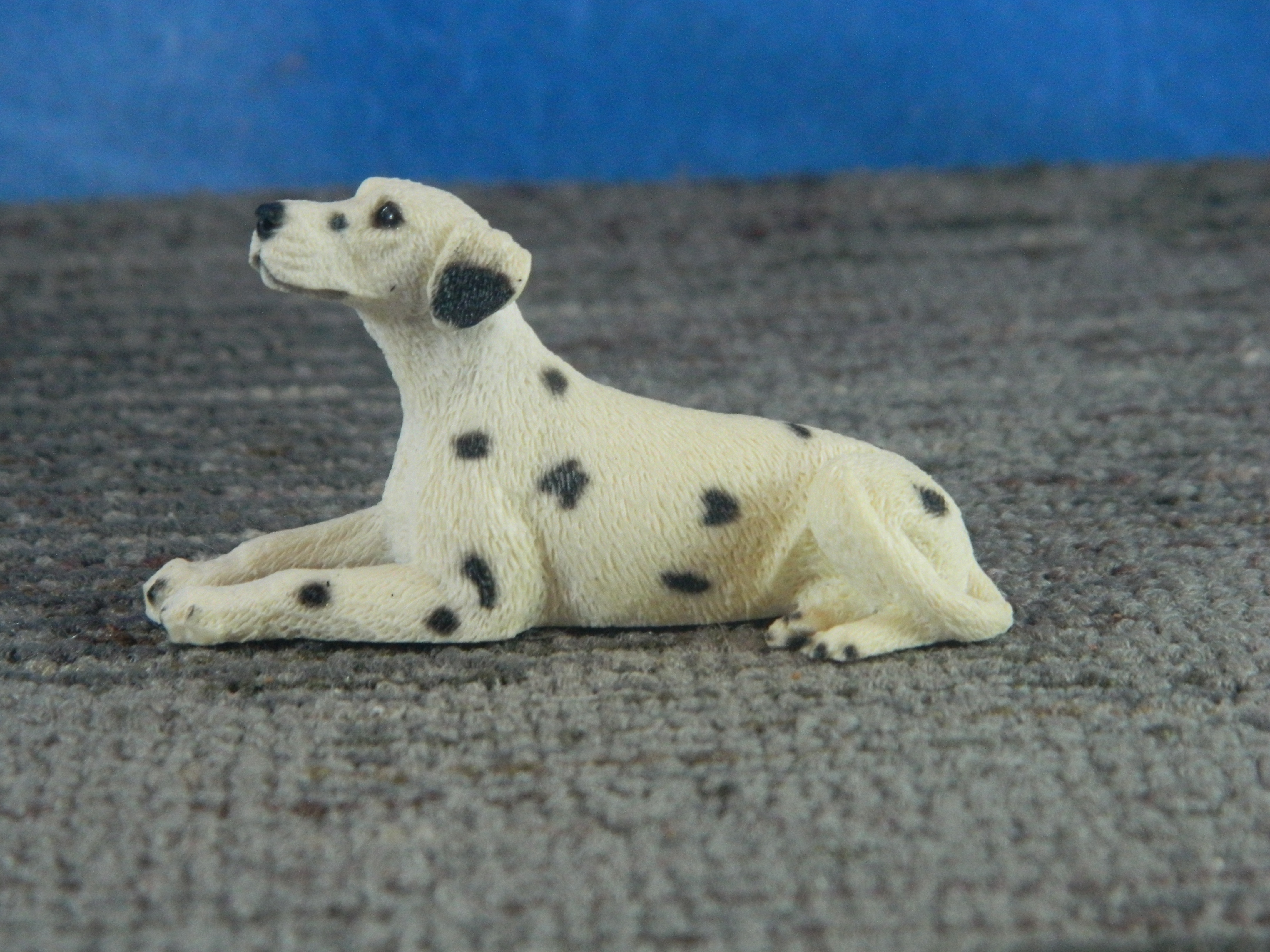 Castagna Miniature Dalmatian Miniature
