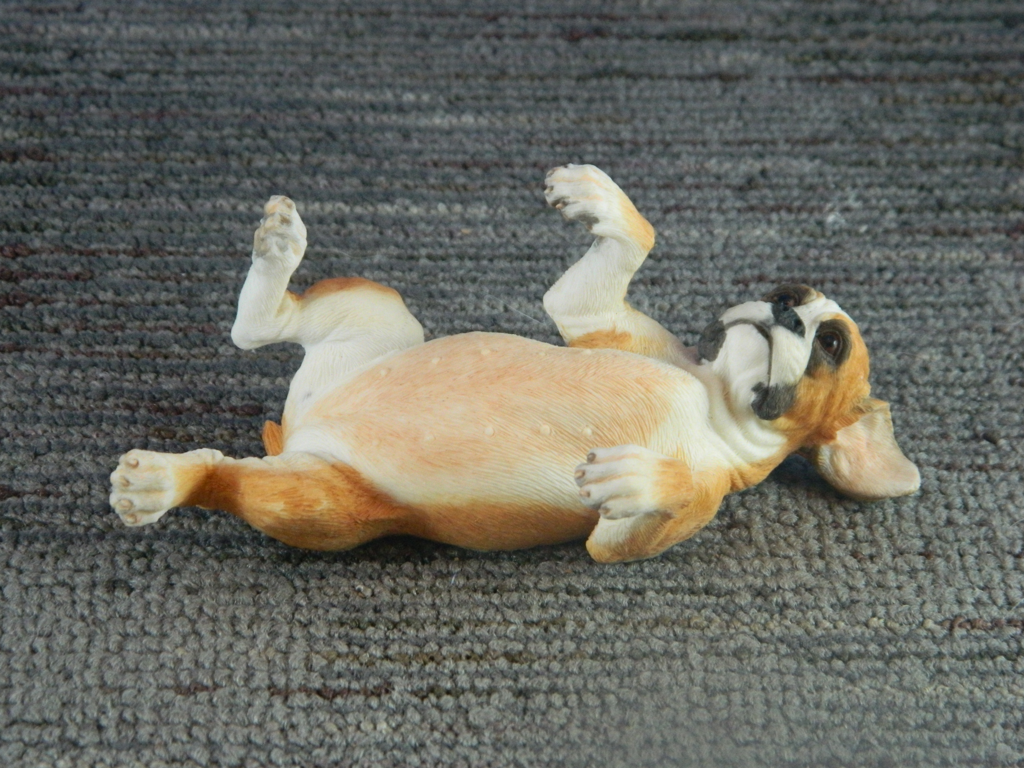 Border Fine Arts Boxer Dog Puppy on Back