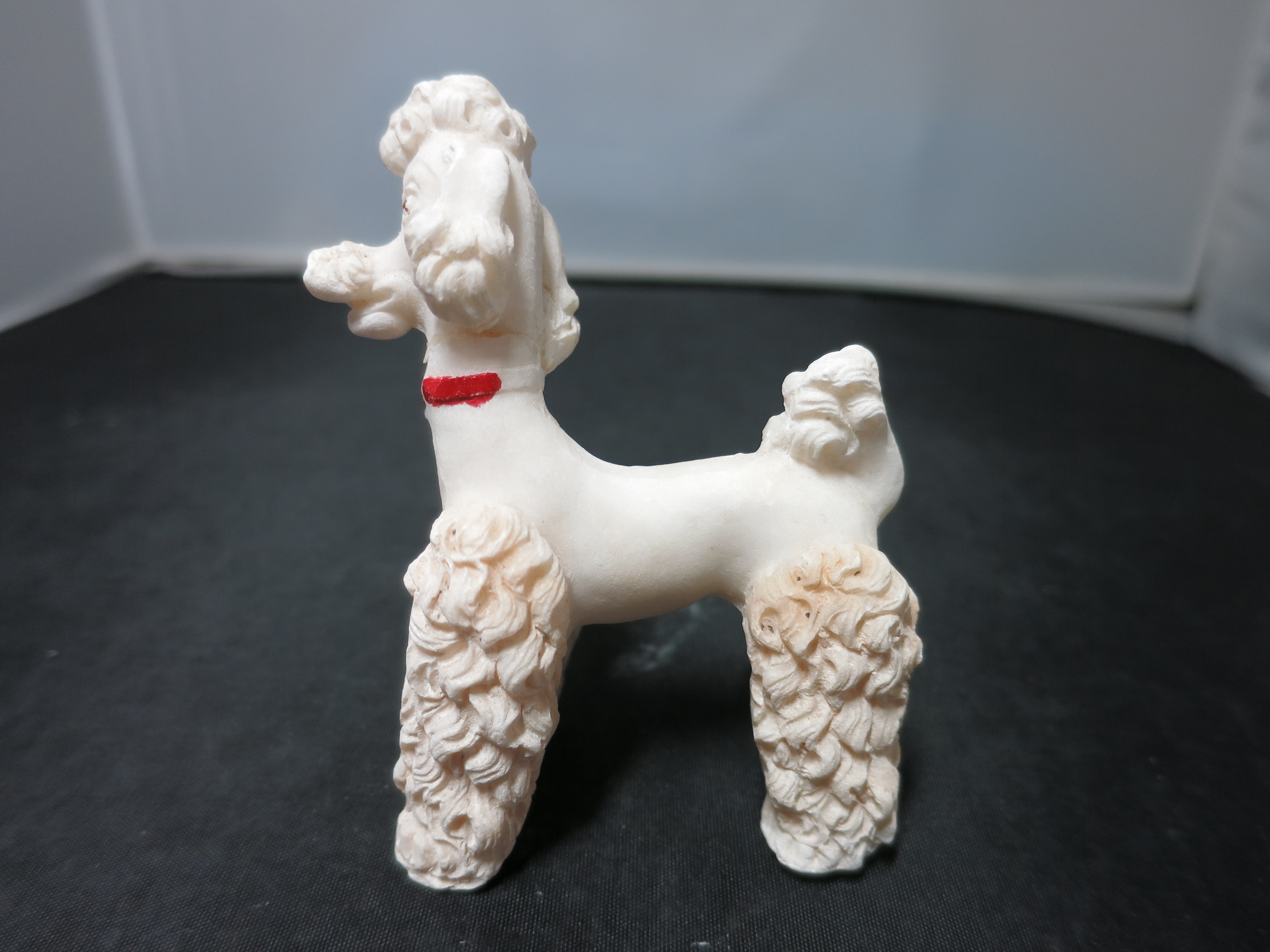 Spaghetti Poodle standing red collar broken and glued on neck