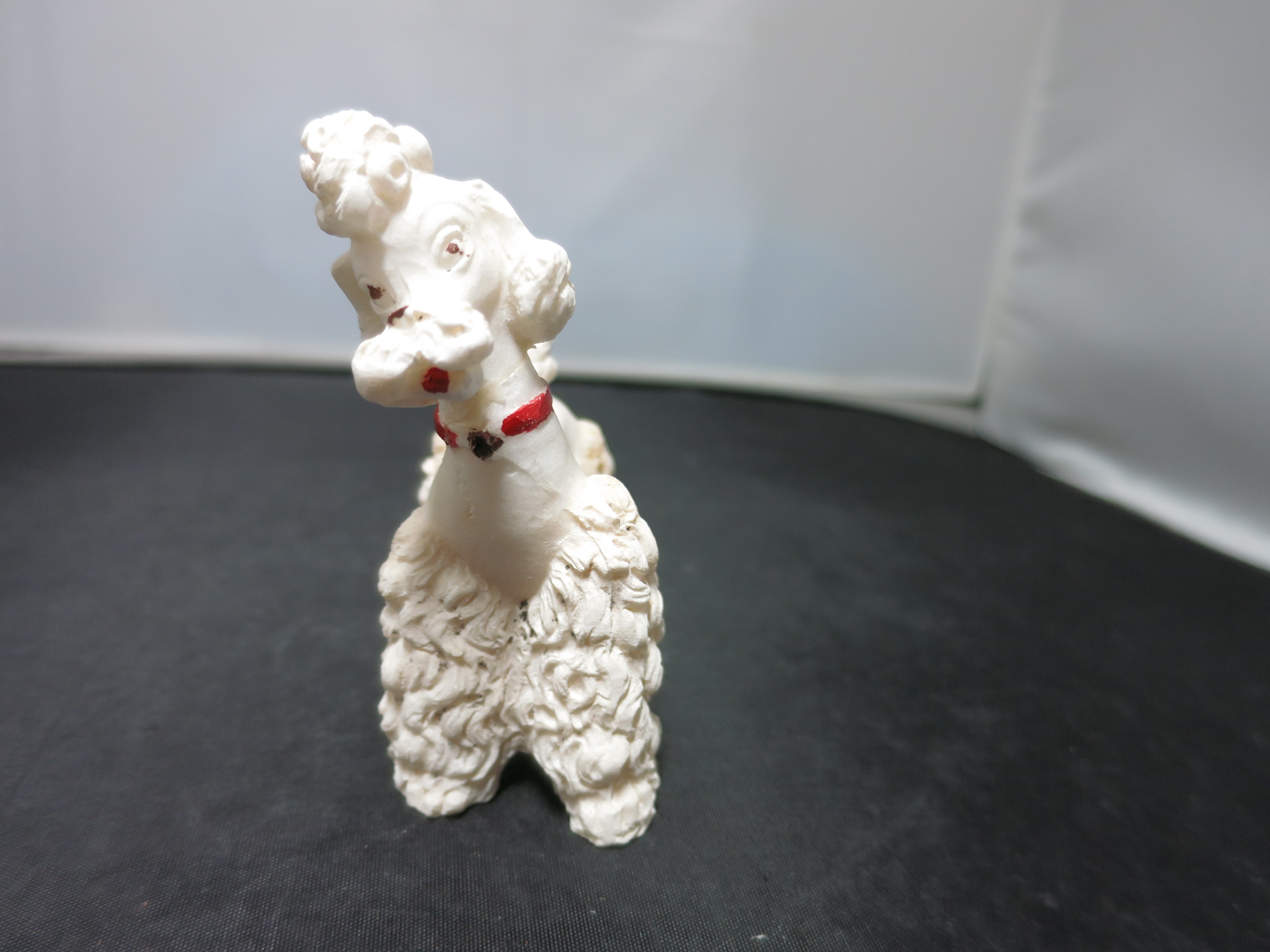 Spaghetti Poodle standing red collar broken and glued on neck