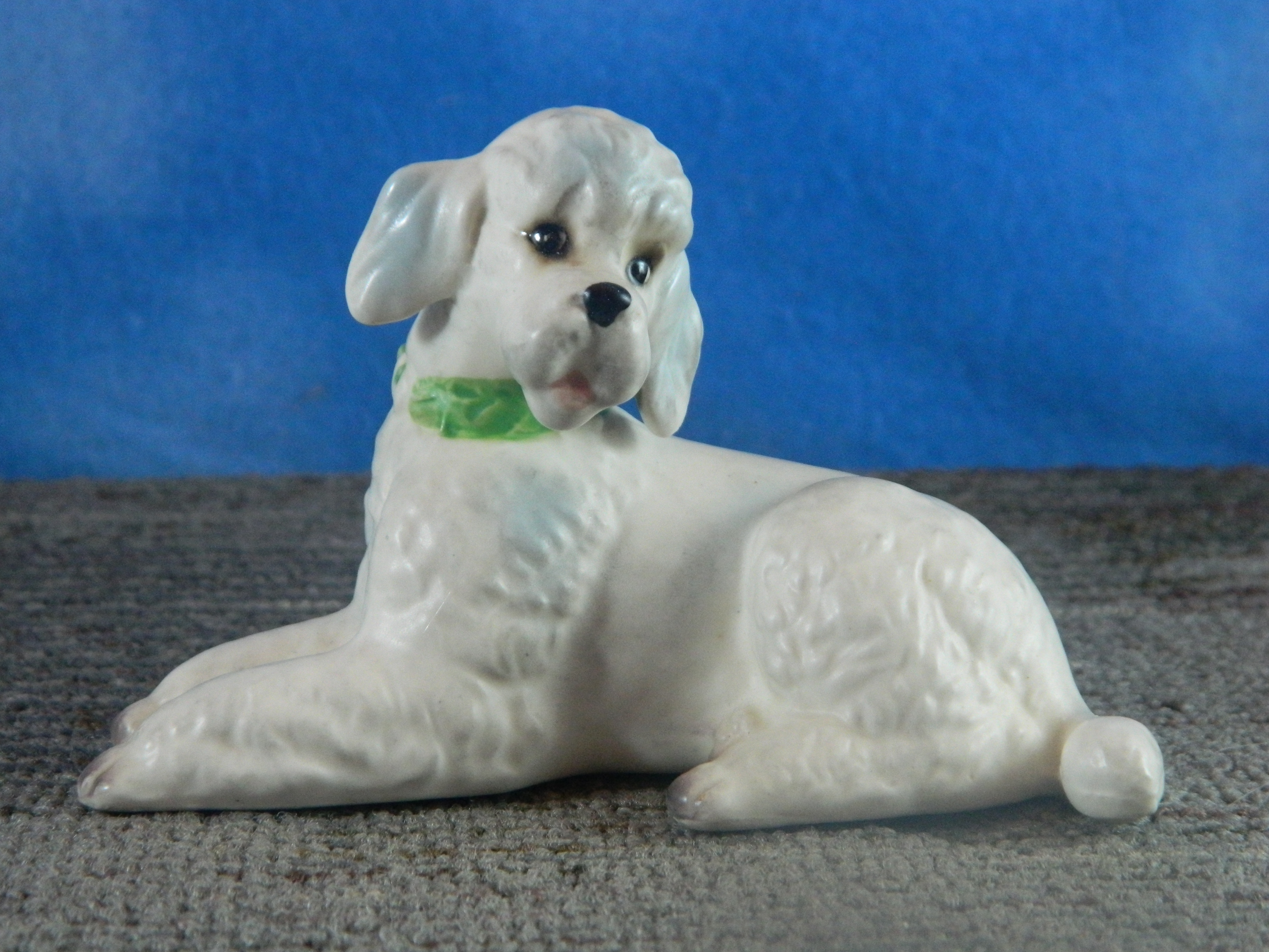 China Poodle Japan
