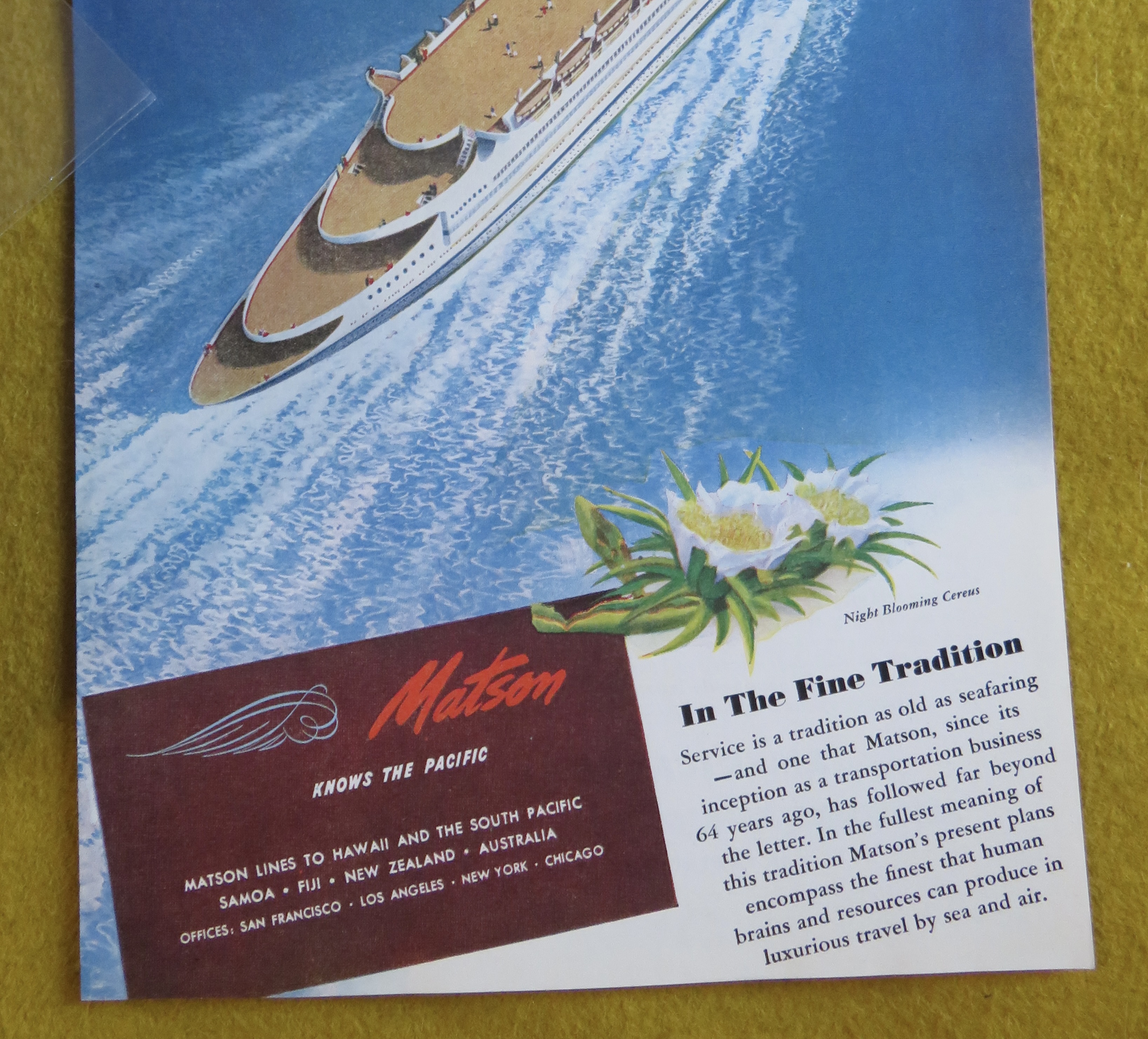 1946 Matson with Bird Flying Above Cruise Ship