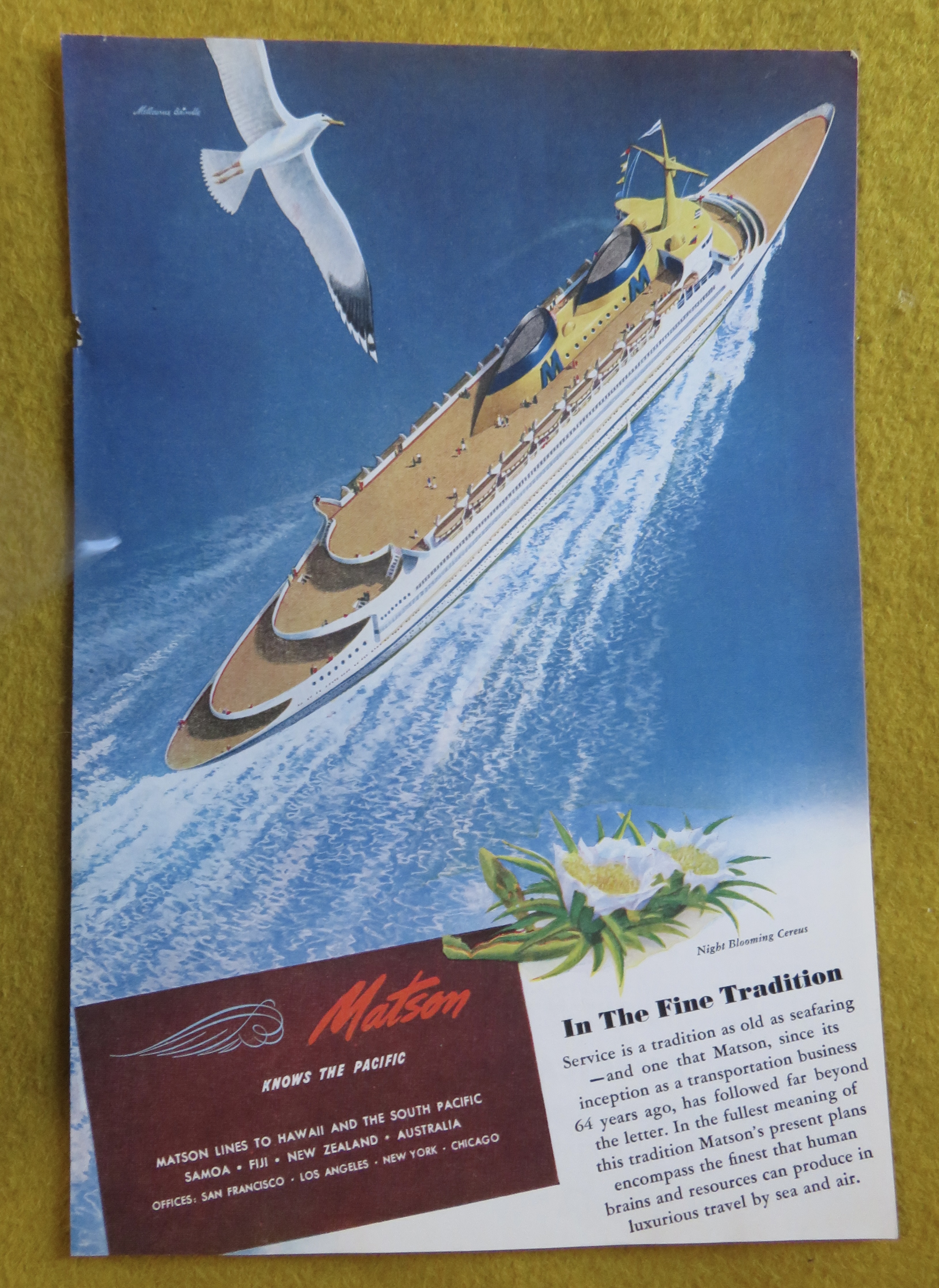 1946 Matson with Bird Flying Above Cruise Ship