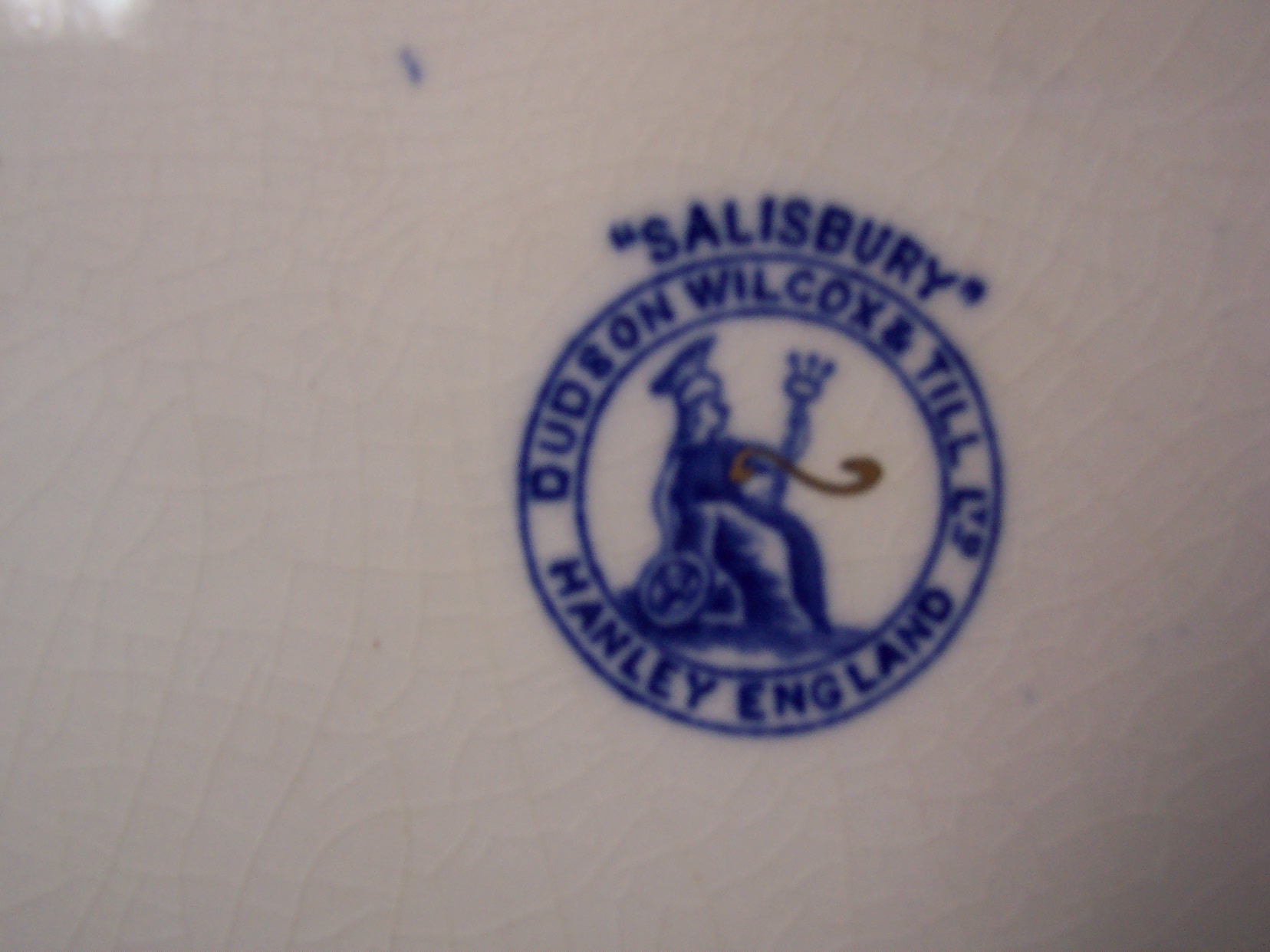Salisbury Covered Casserole Dudson Wilcox Til