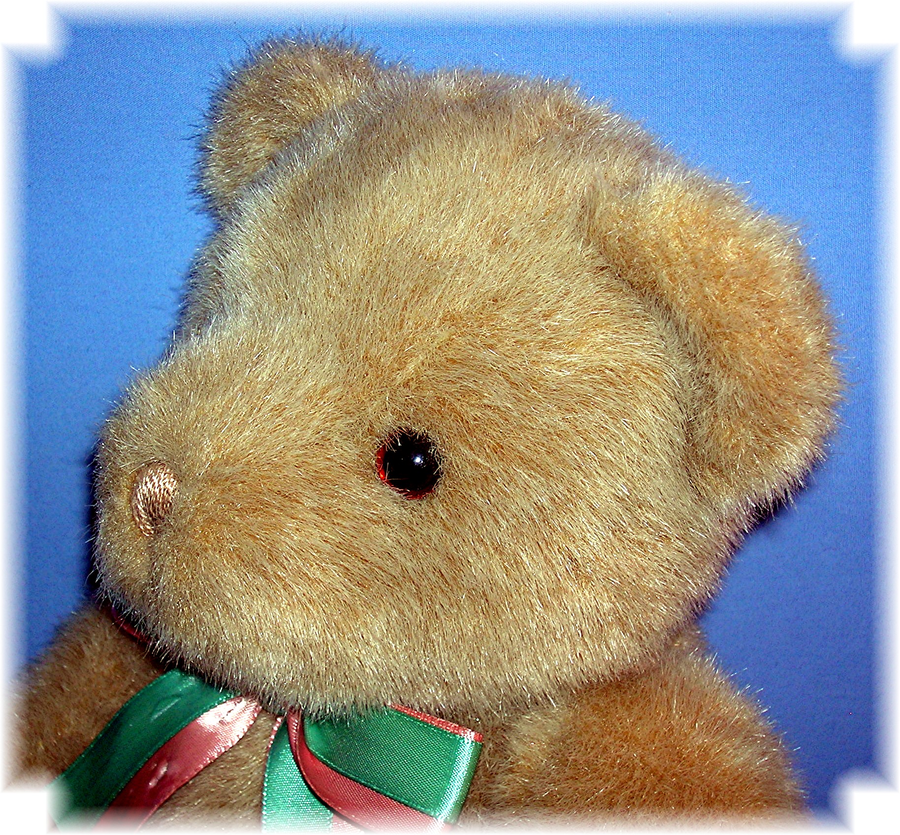 14 Inch Tan GUND Teddy Bear