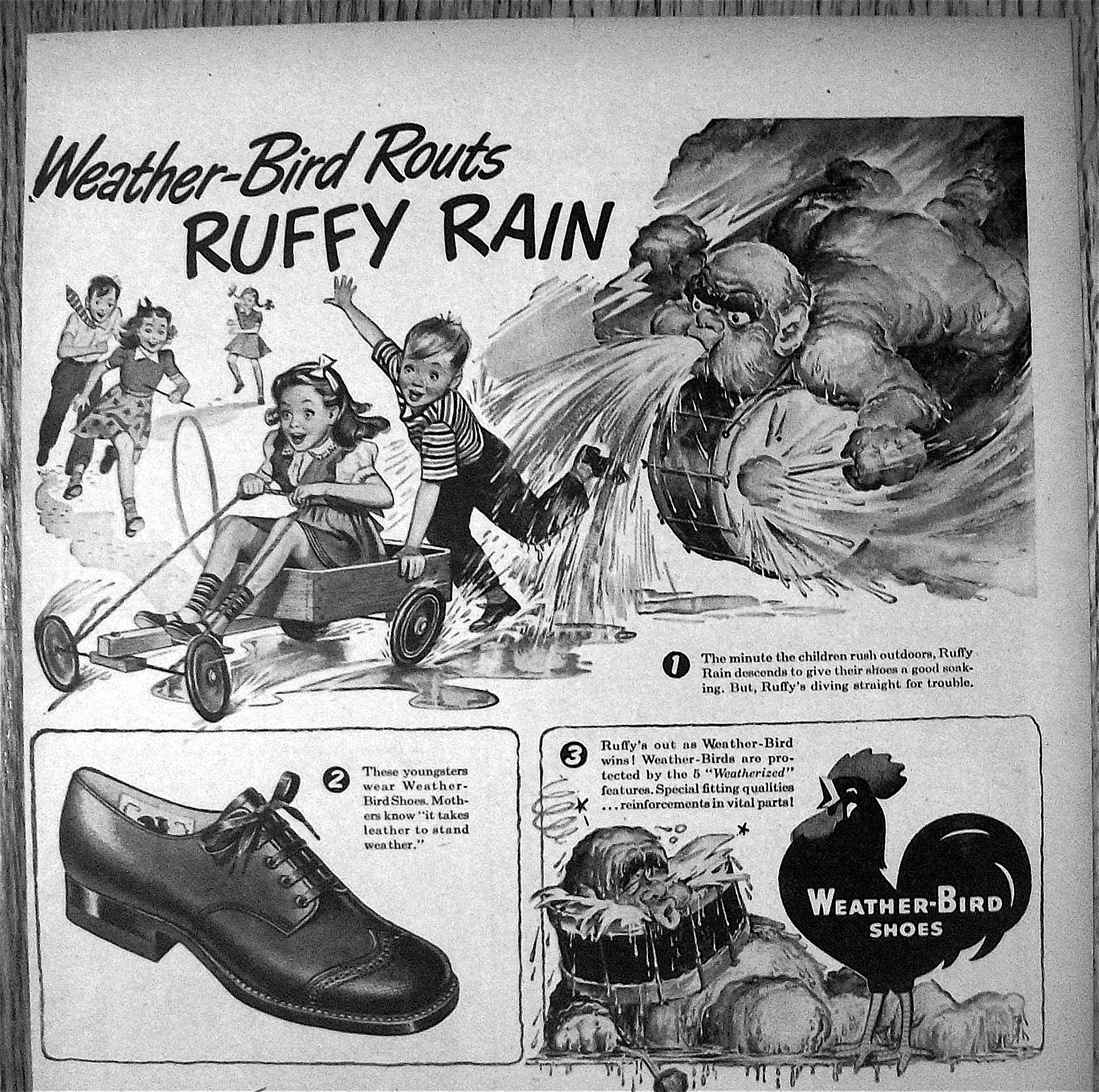 1945 Weather Bird Shoes with Ruffy Rain & Children