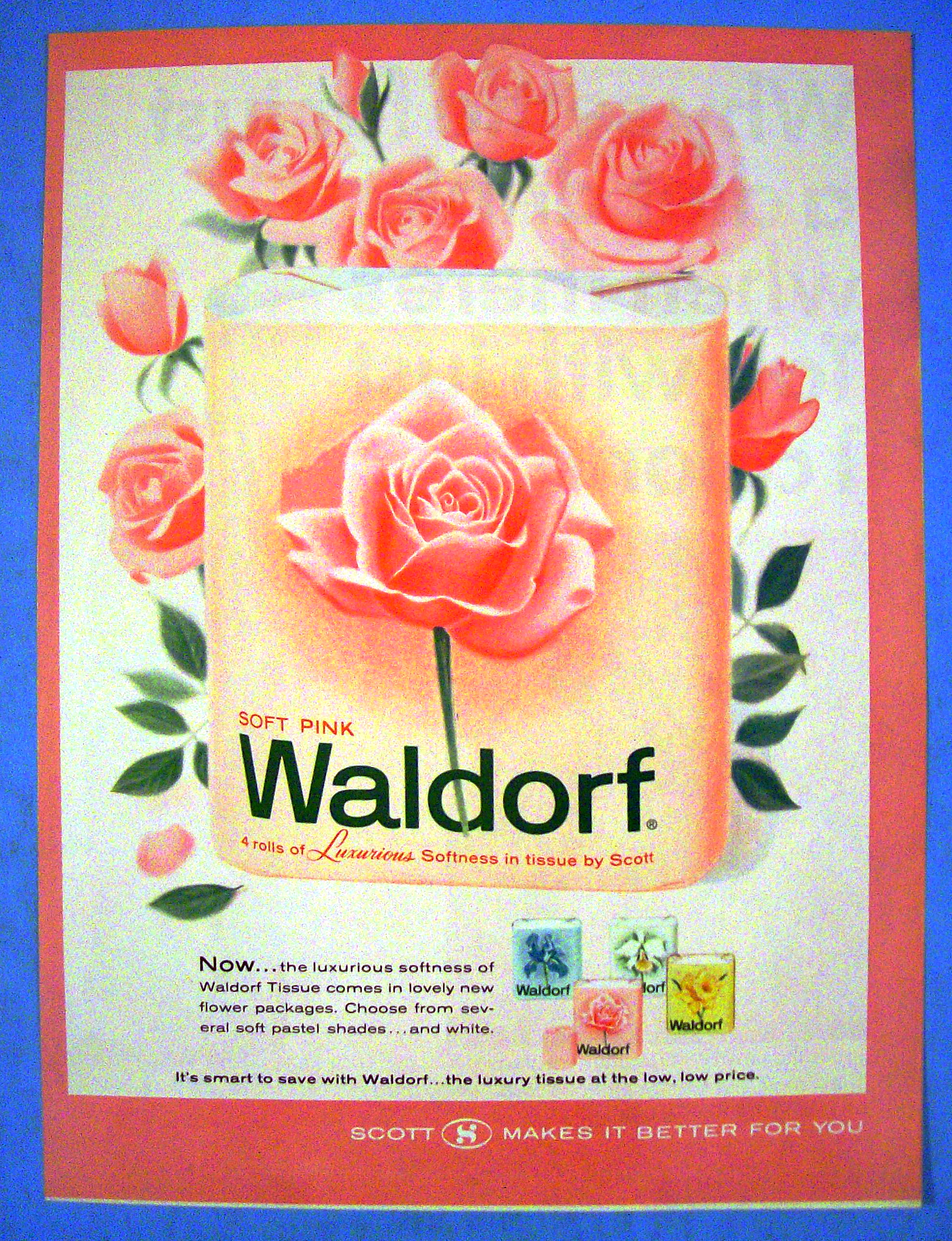 1965 Waldorf Toilet Tissue With Soft Pink Toilet Tissue
