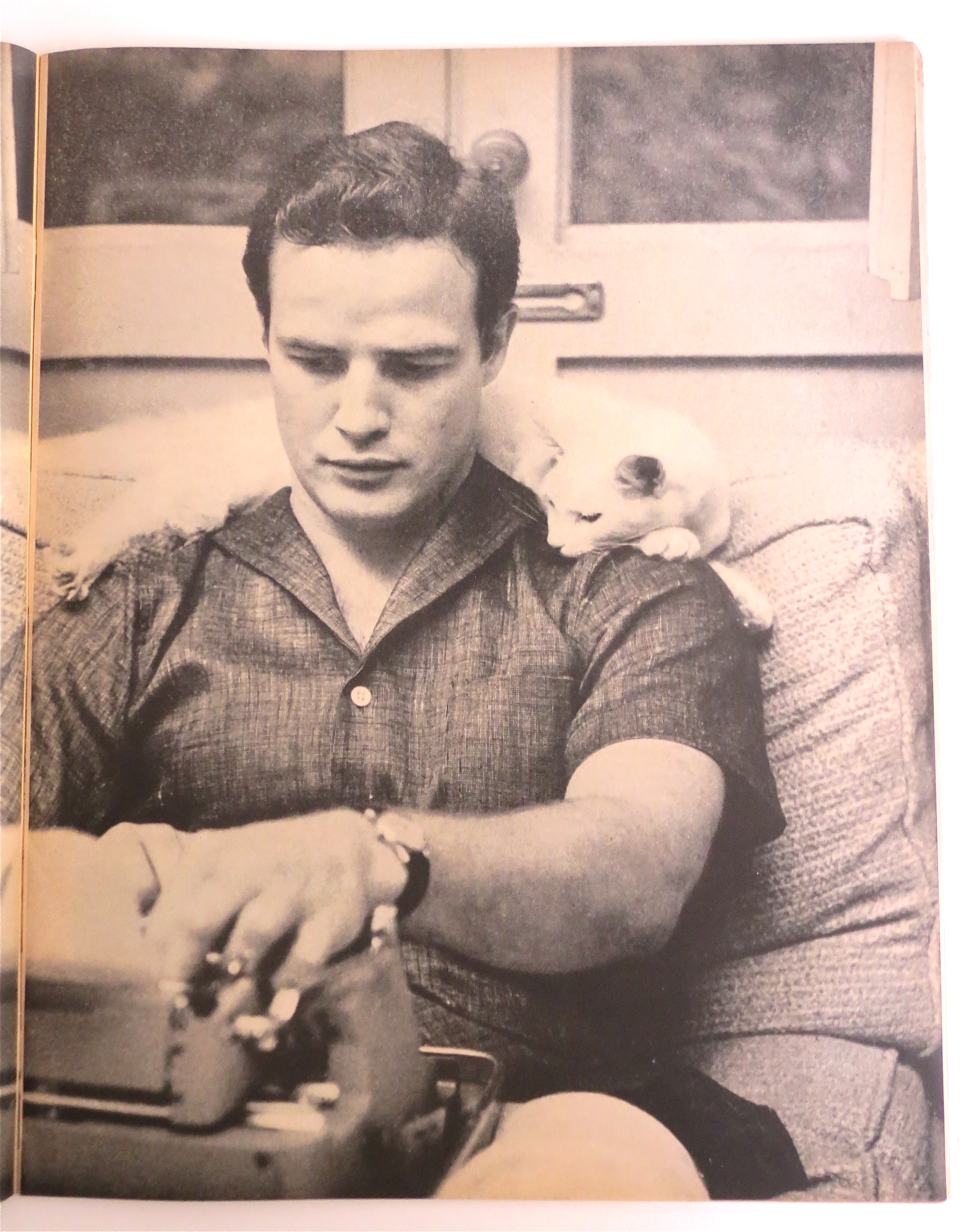 Look Magazine May 17, 1955 Marlon Brando