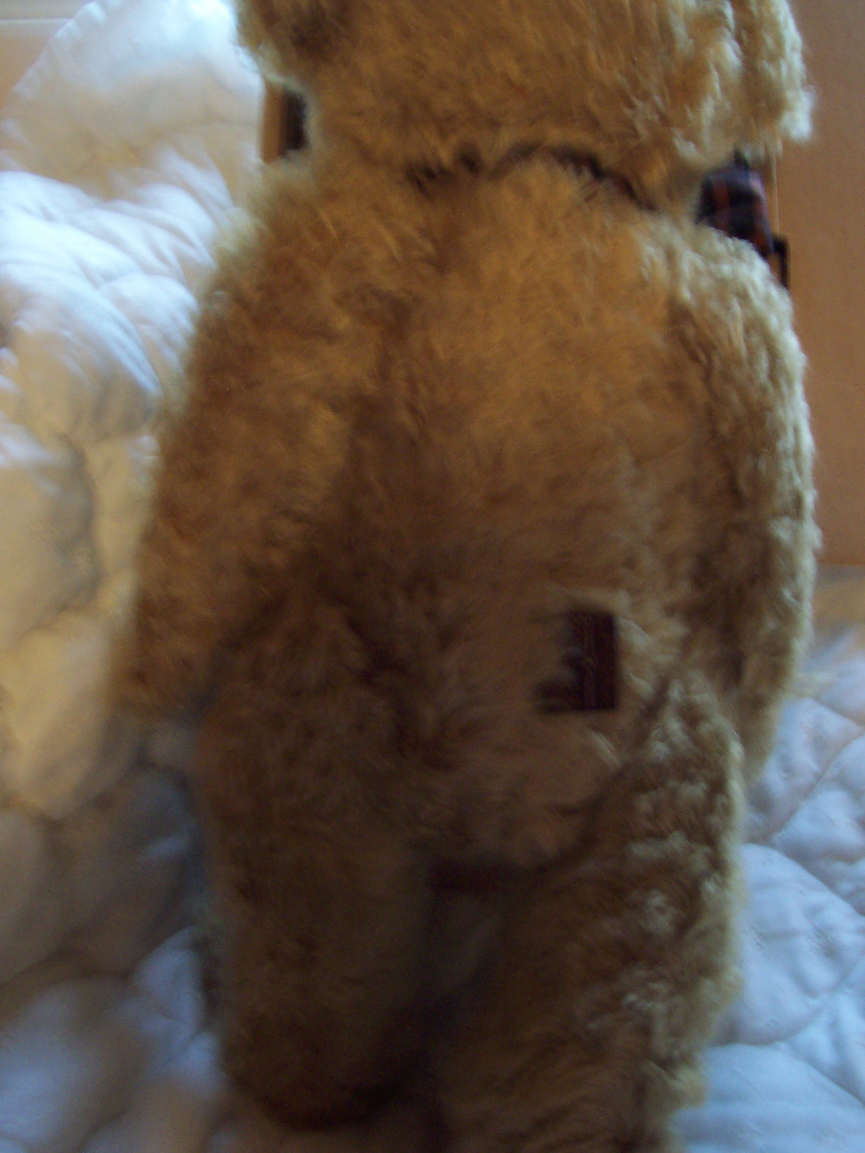Boyds Bear Roosevelt P Bearington MIB