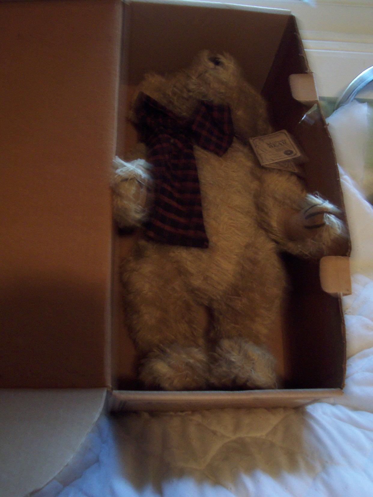 Boyds Bear Roosevelt P Bearington MIB