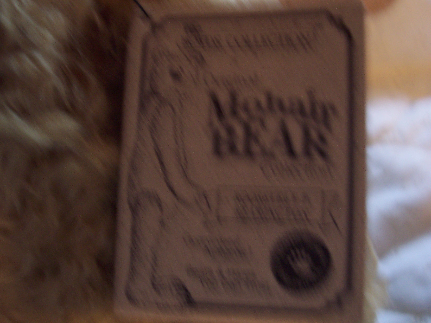 Boyds Bear Roosevelt P Bearington MIB