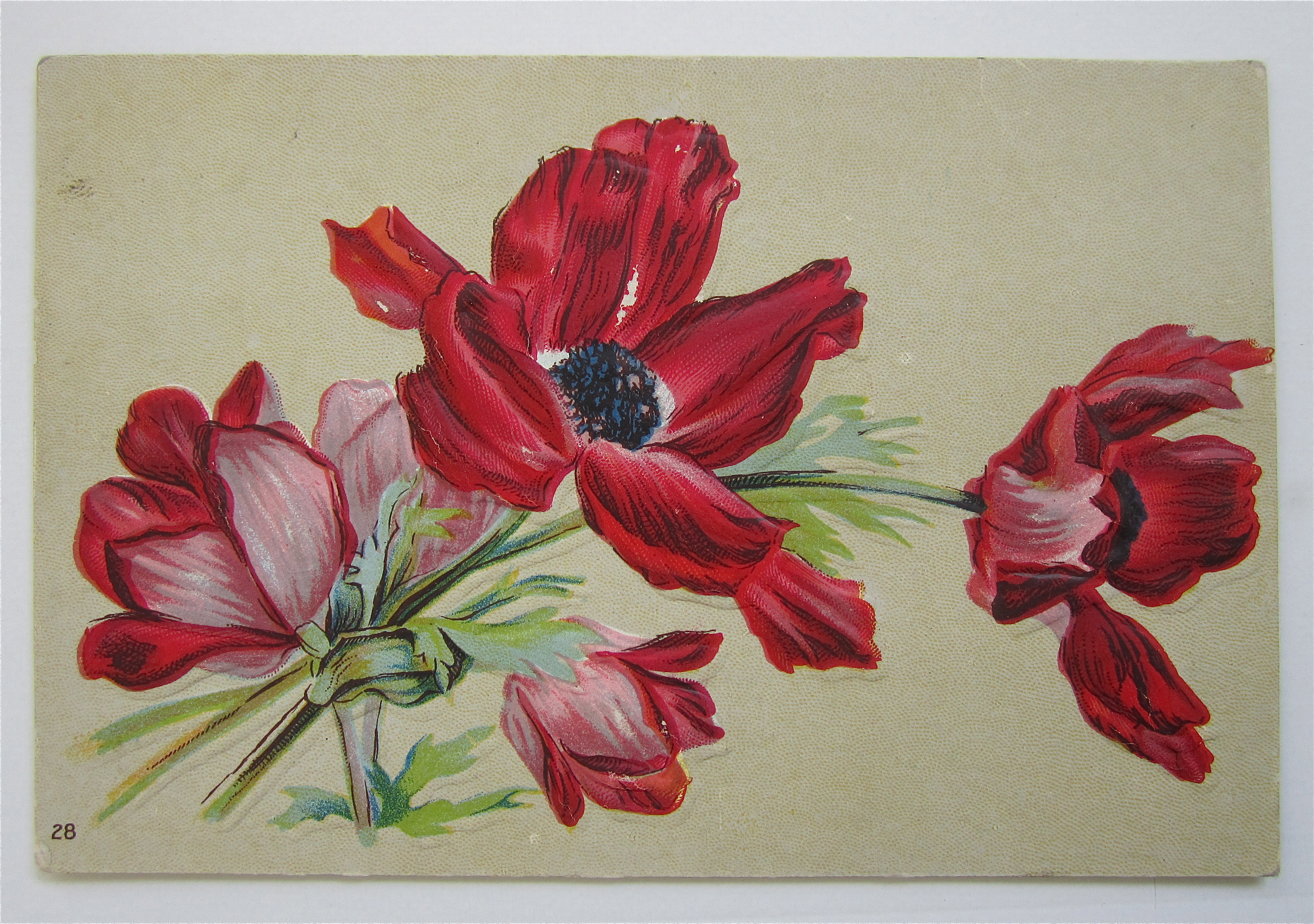 Red And Pink Flowers Postcard
