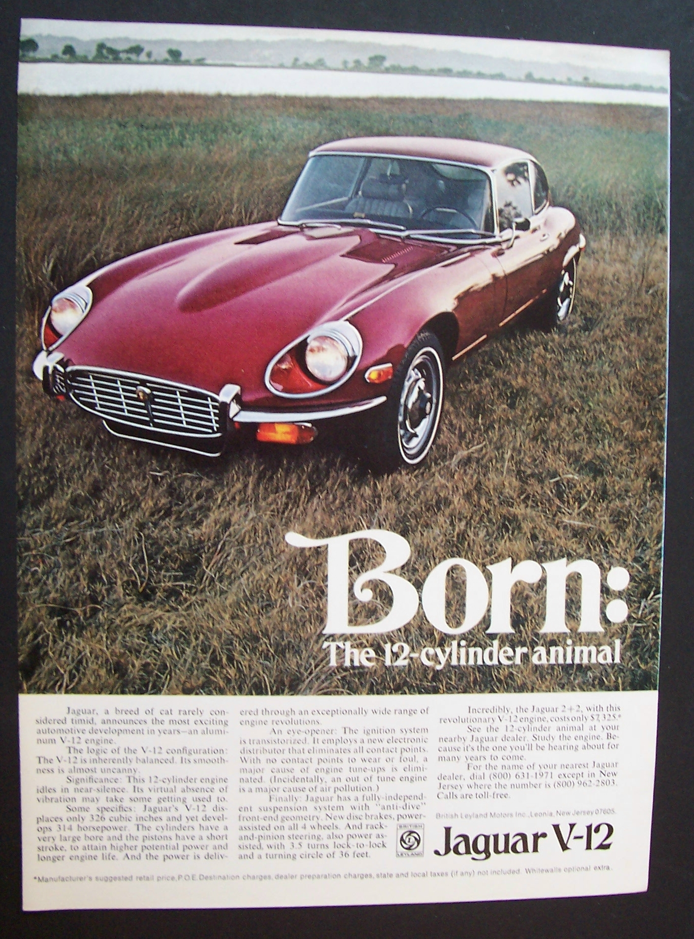 1971  Jaguar  V - 12