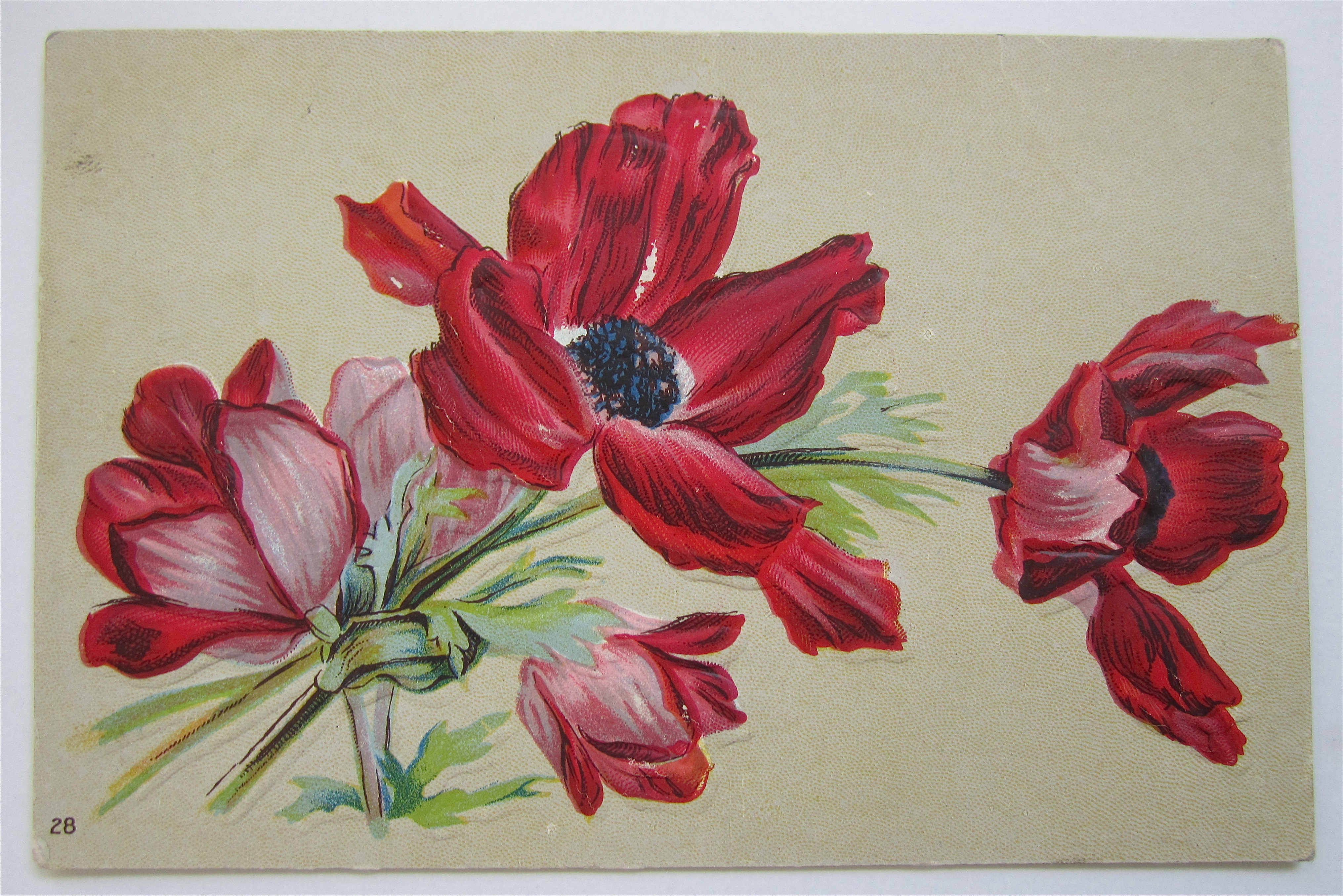 Red And Pink Flowers Postcard