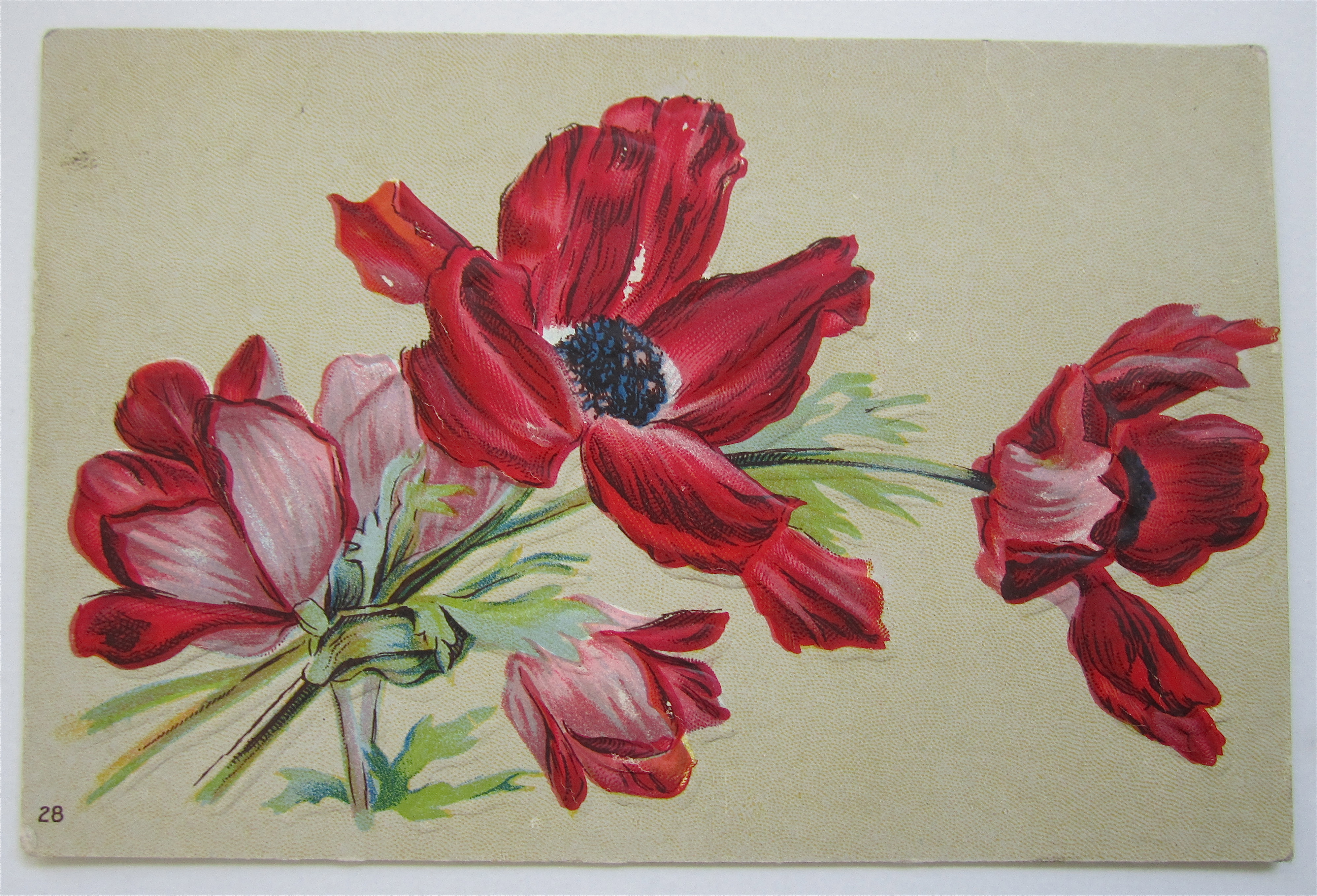 Red And Pink Flowers Postcard