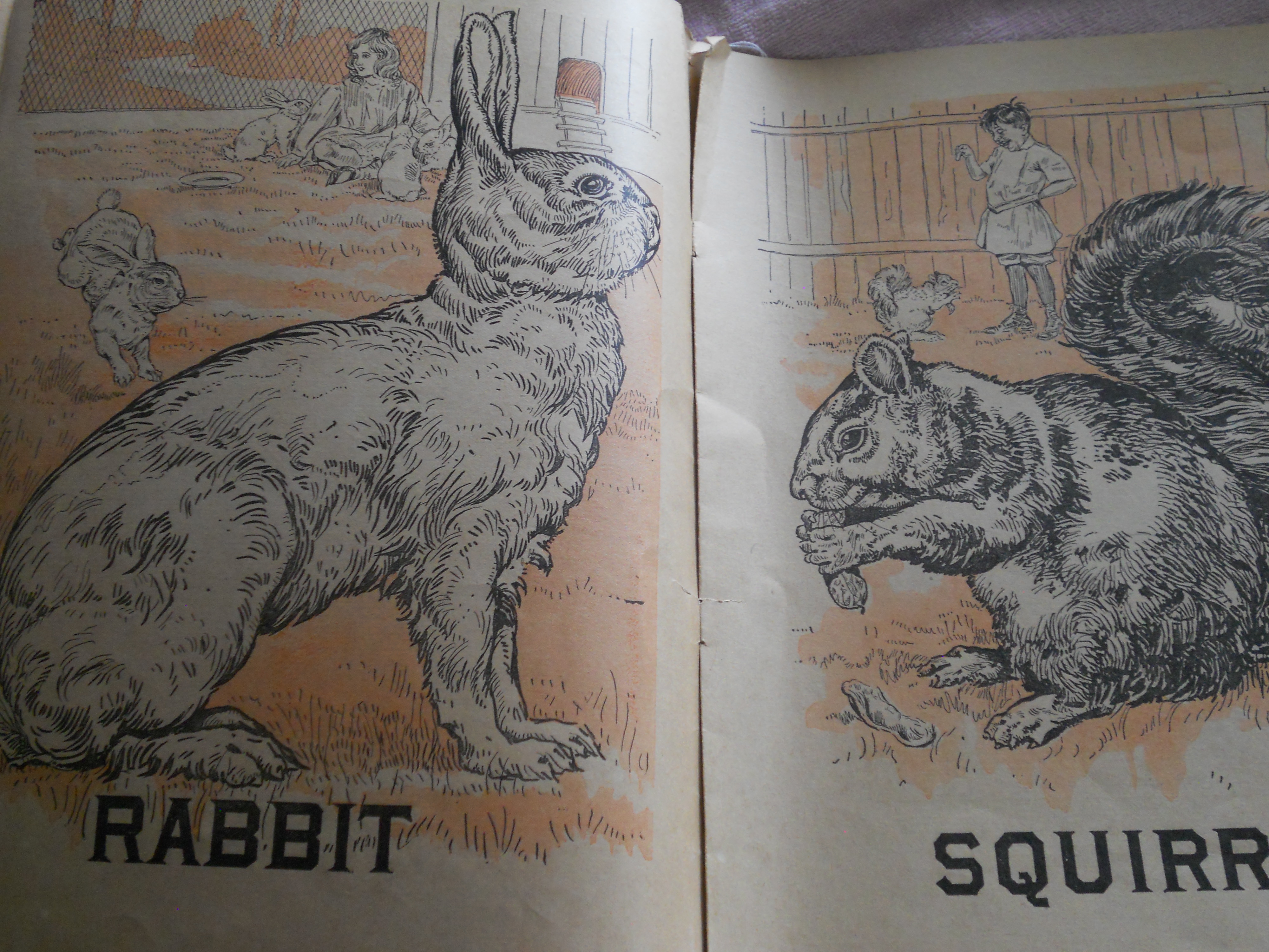 Farm Friends Book 1915