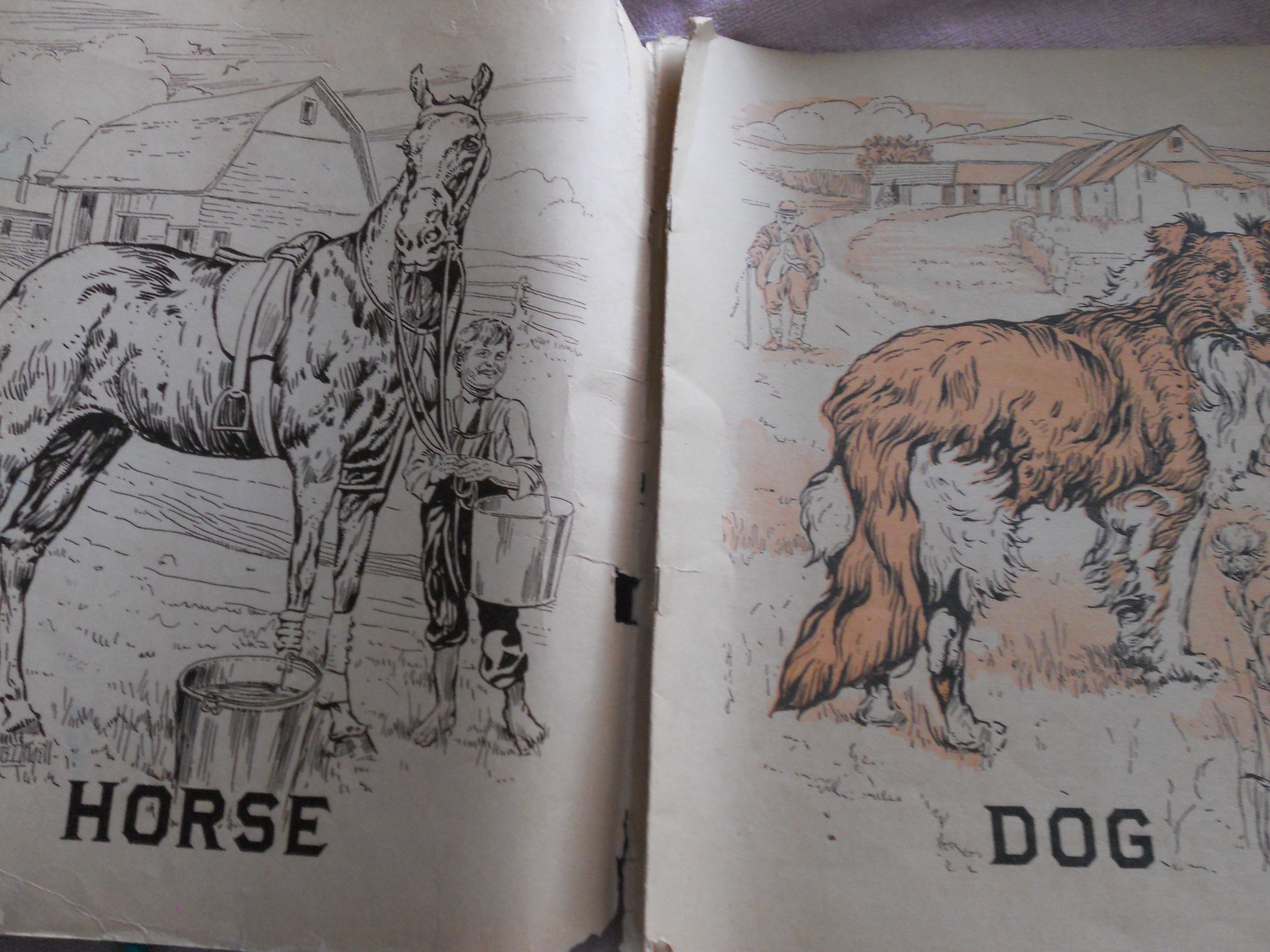 Farm Friends Book 1915