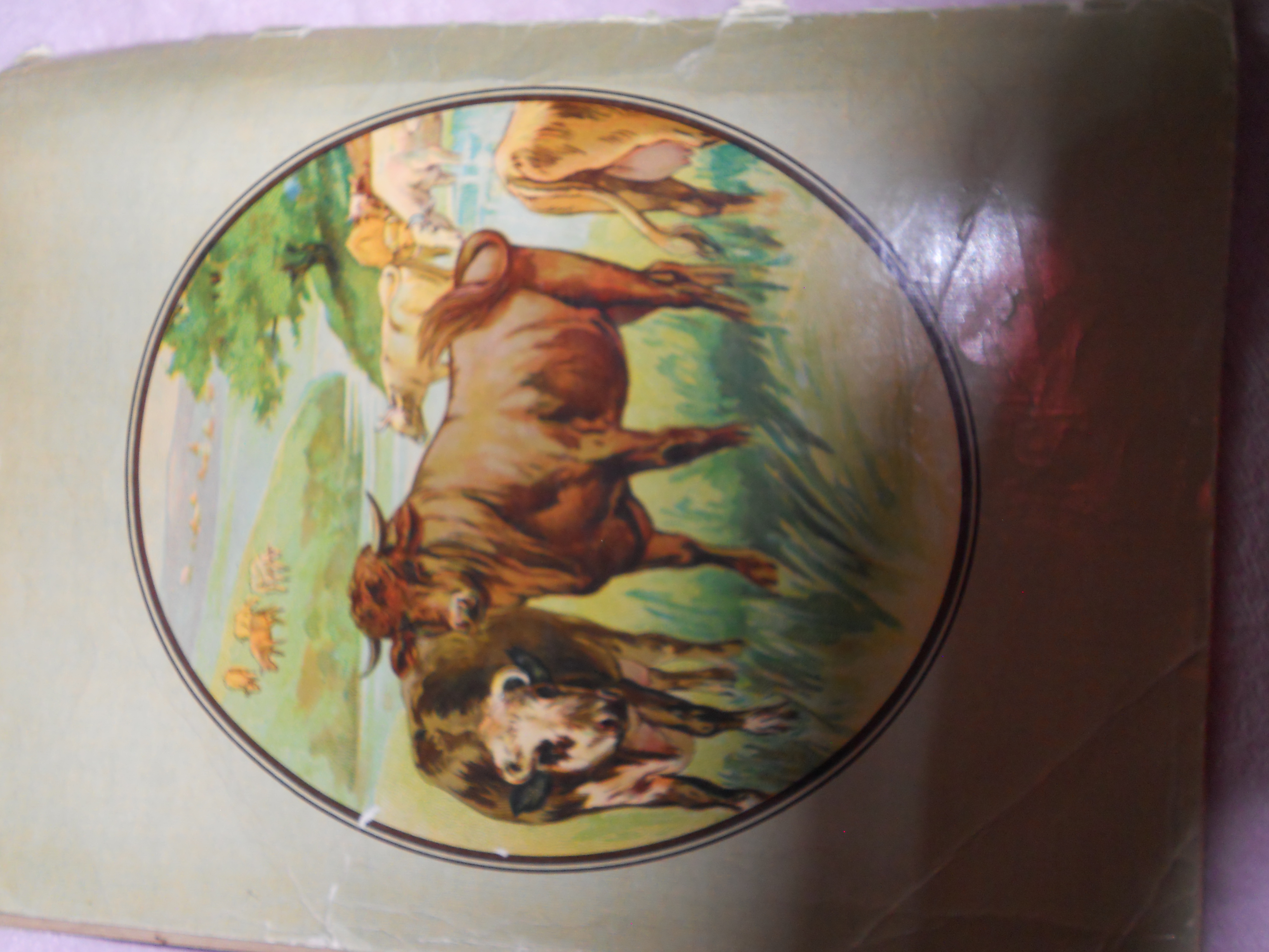 Farm Friends Book 1915
