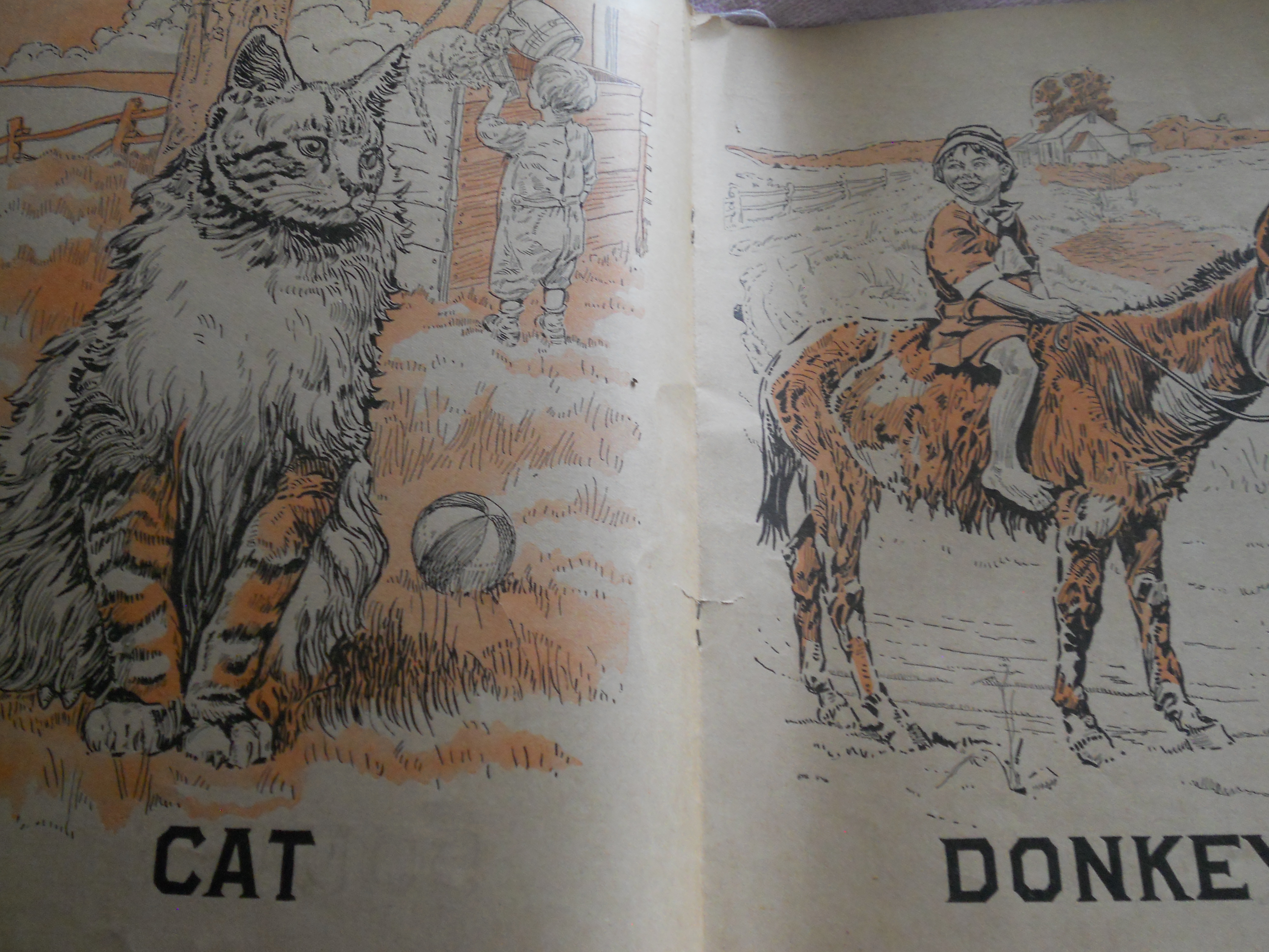 Farm Friends Book 1915