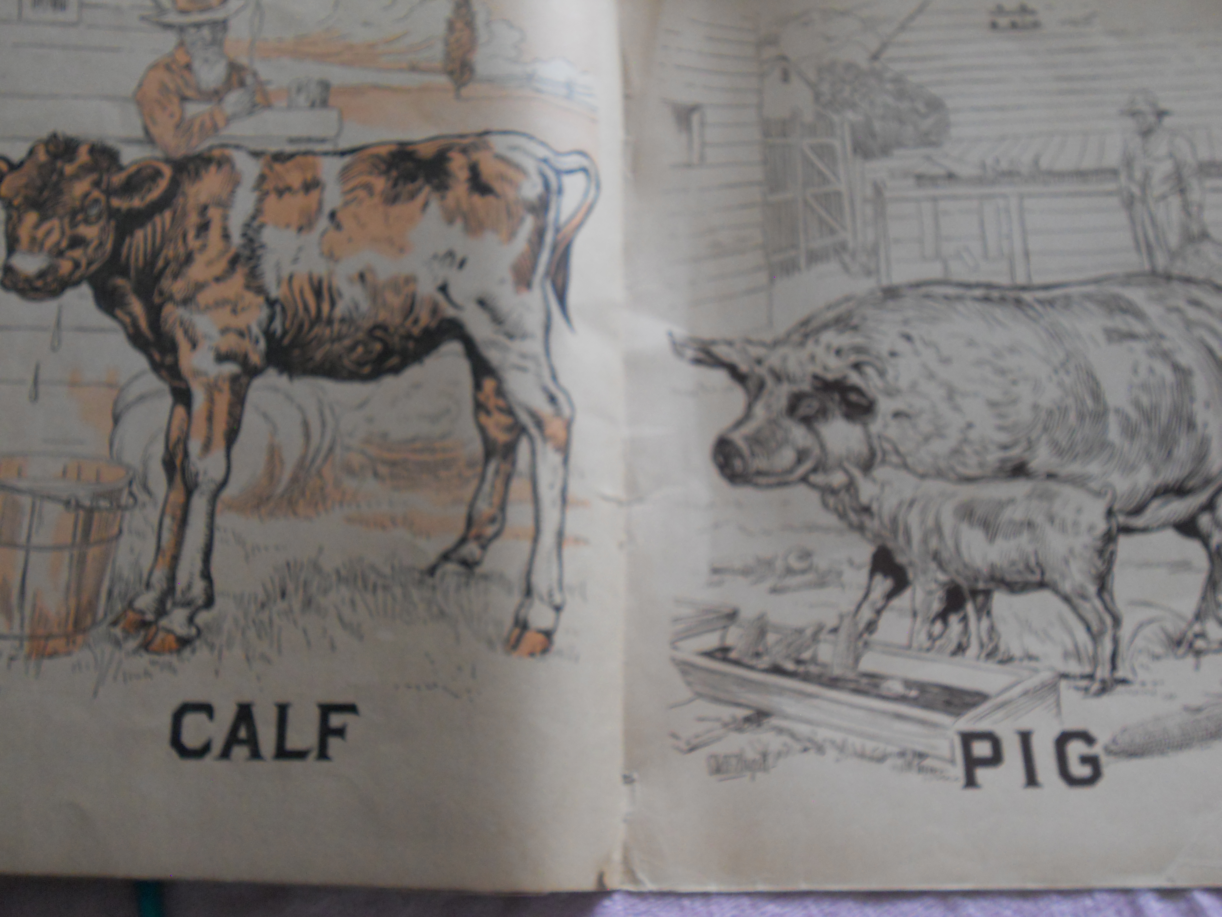 Farm Friends Book 1915
