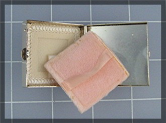 Compact Souvenier of Florida