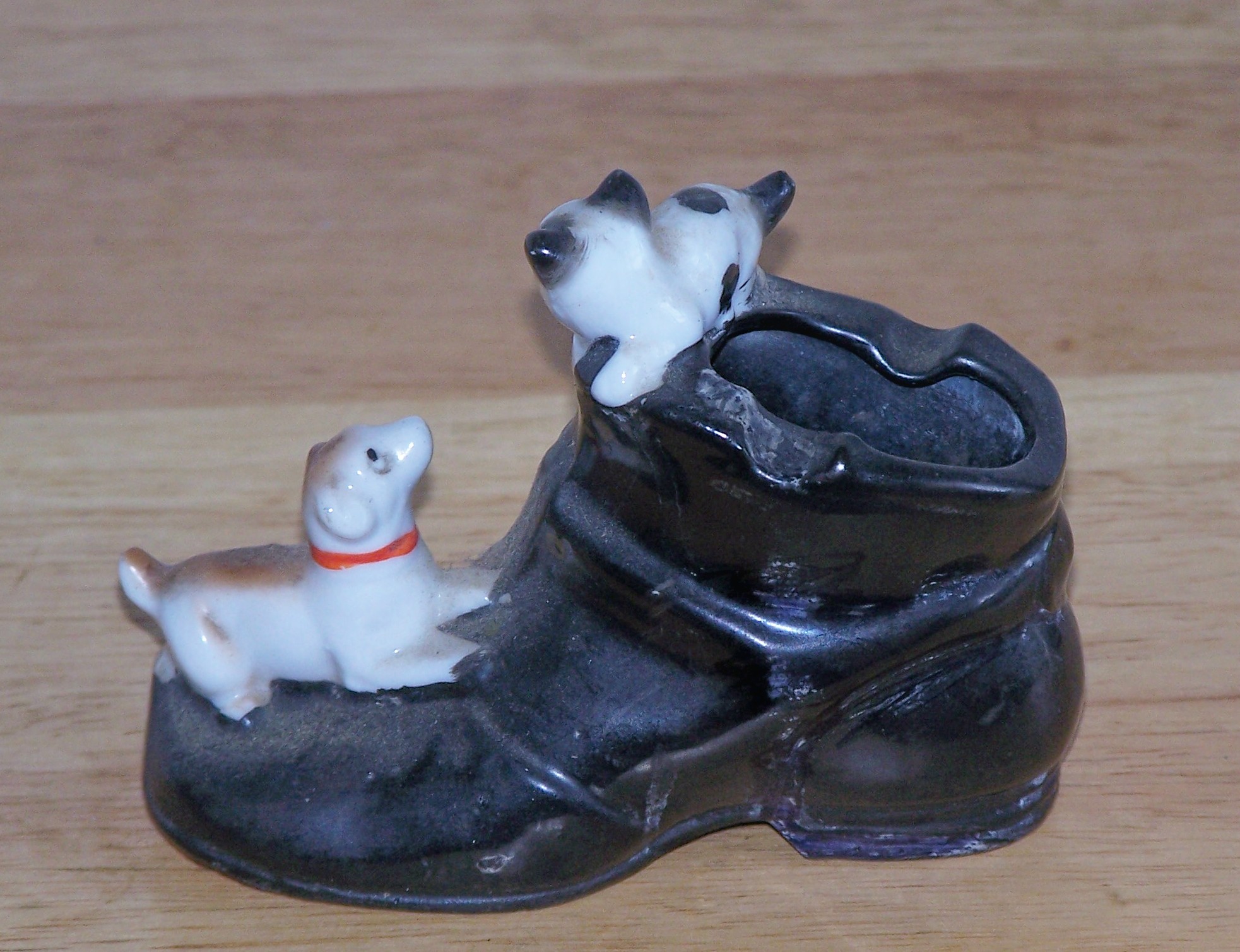 Mij Dog & Cat On Black Shoe