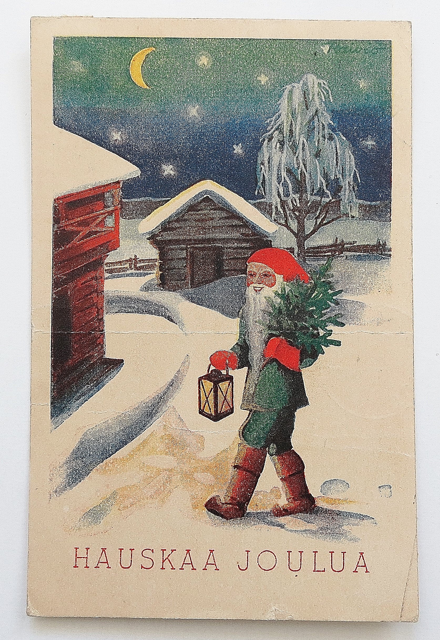 Man holding Christmas Tree & Lantern