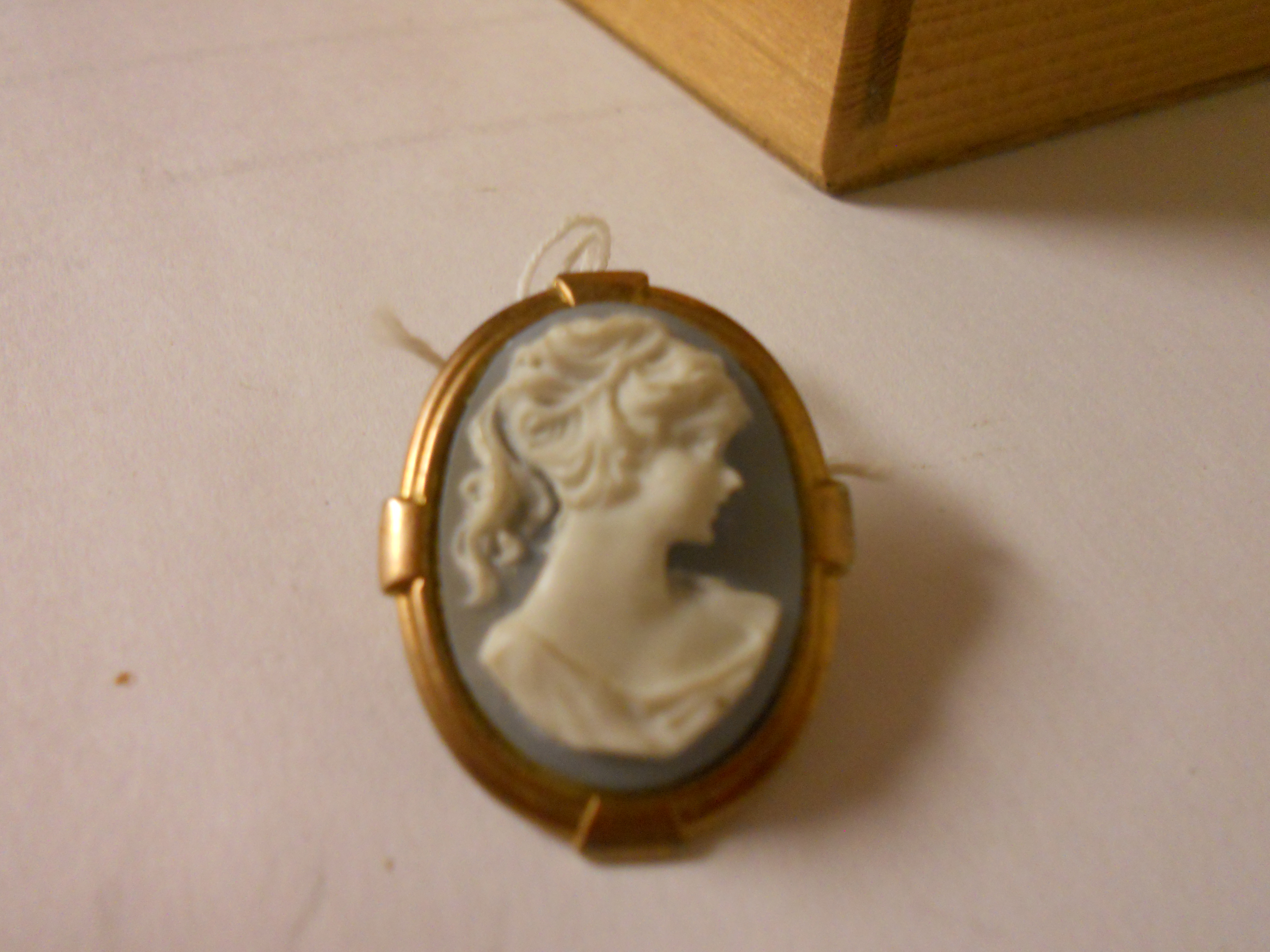 Cameo Pin light blue or gray background gold