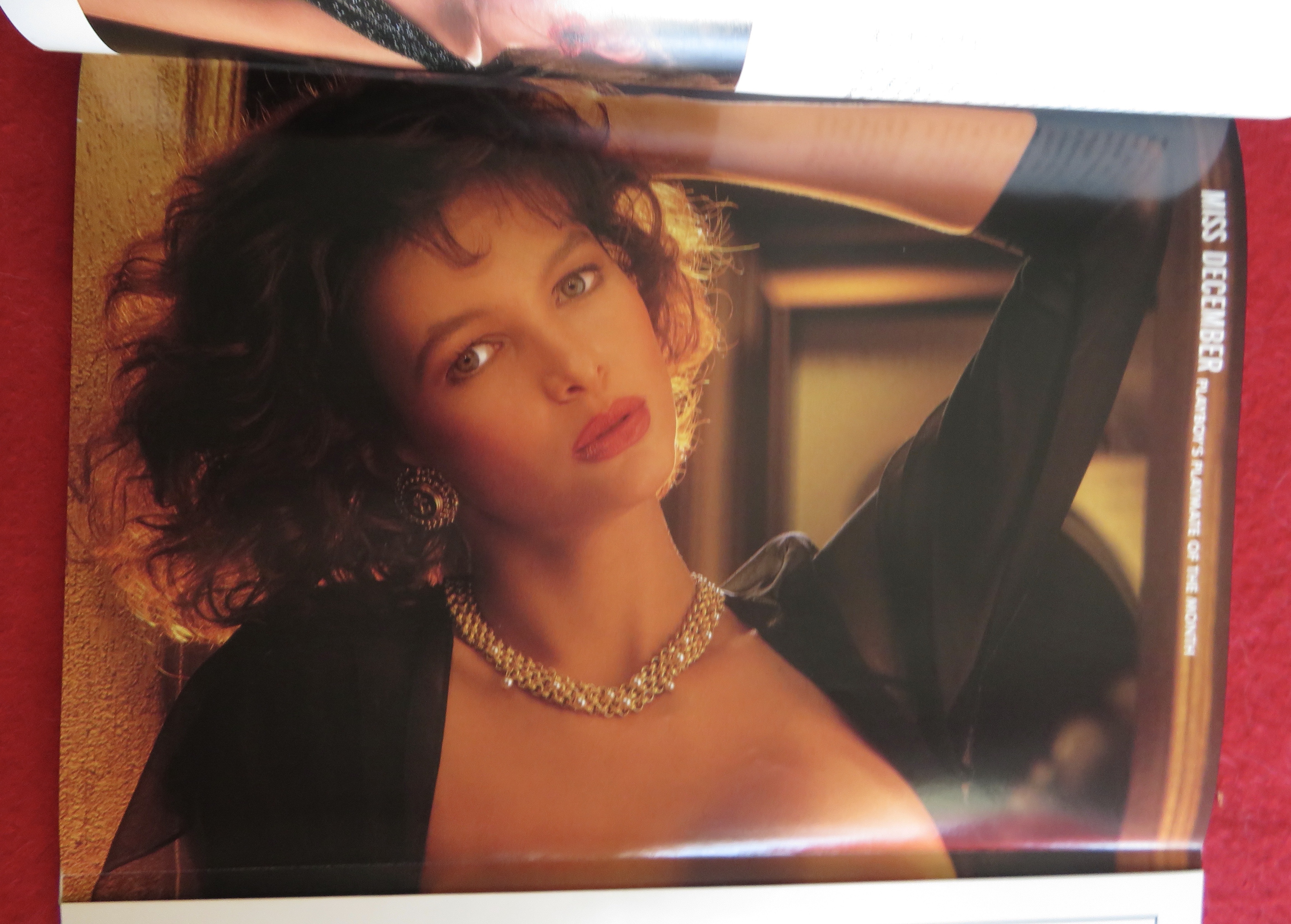 Playboy Magazine December 1991 Dian Parkinson
