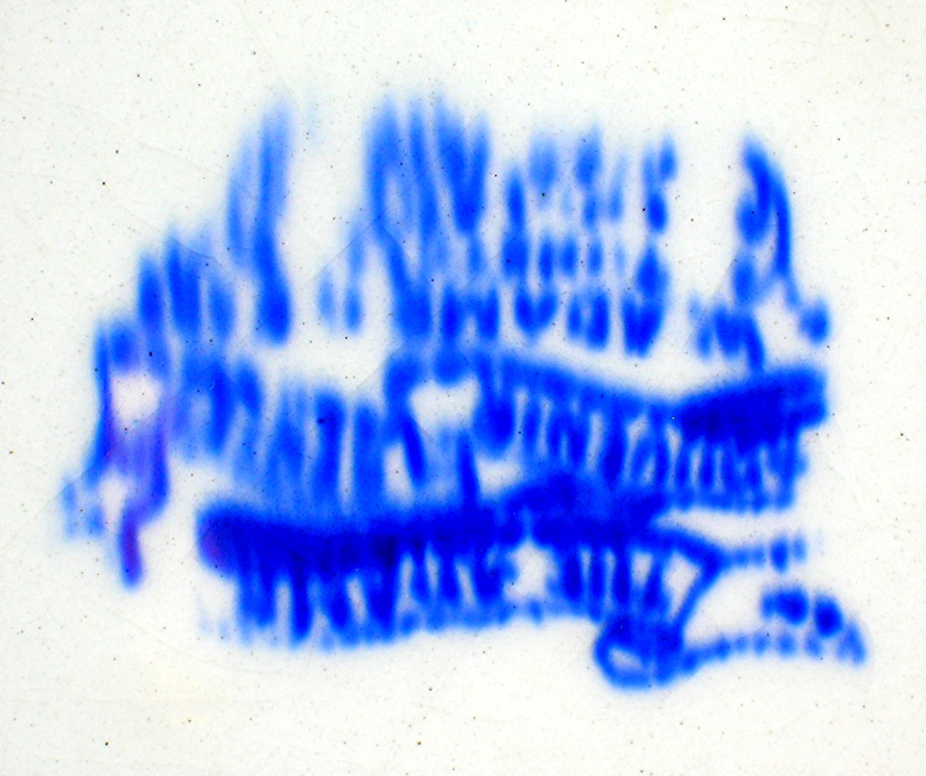 Flow Blue US Congressional Library Adams China  England