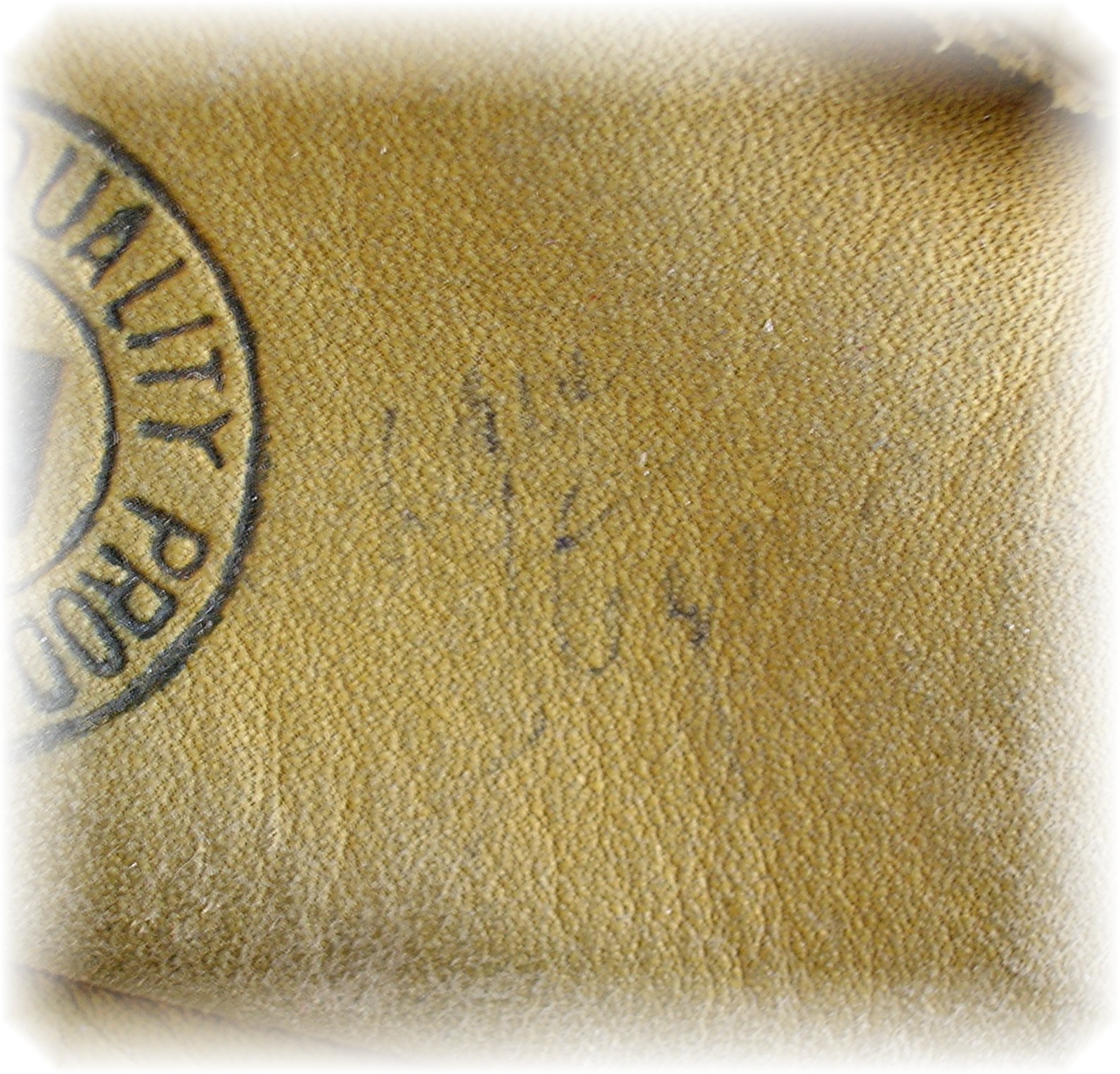 Autographed Franklin Baseball Glove . . . .