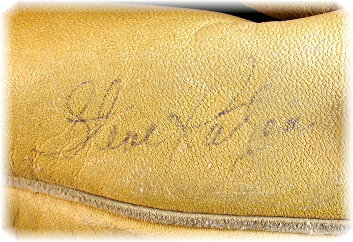 Autographed Franklin Baseball Glove . . . .
