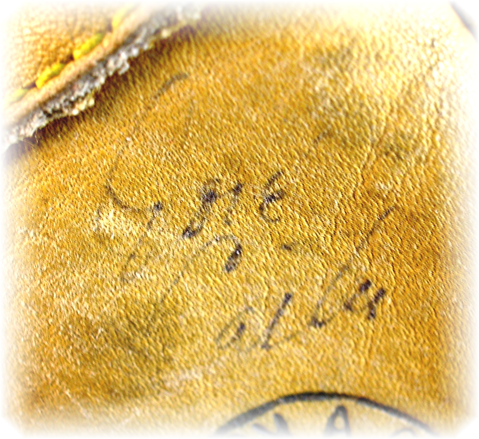 Autographed Franklin Baseball Glove . . . .
