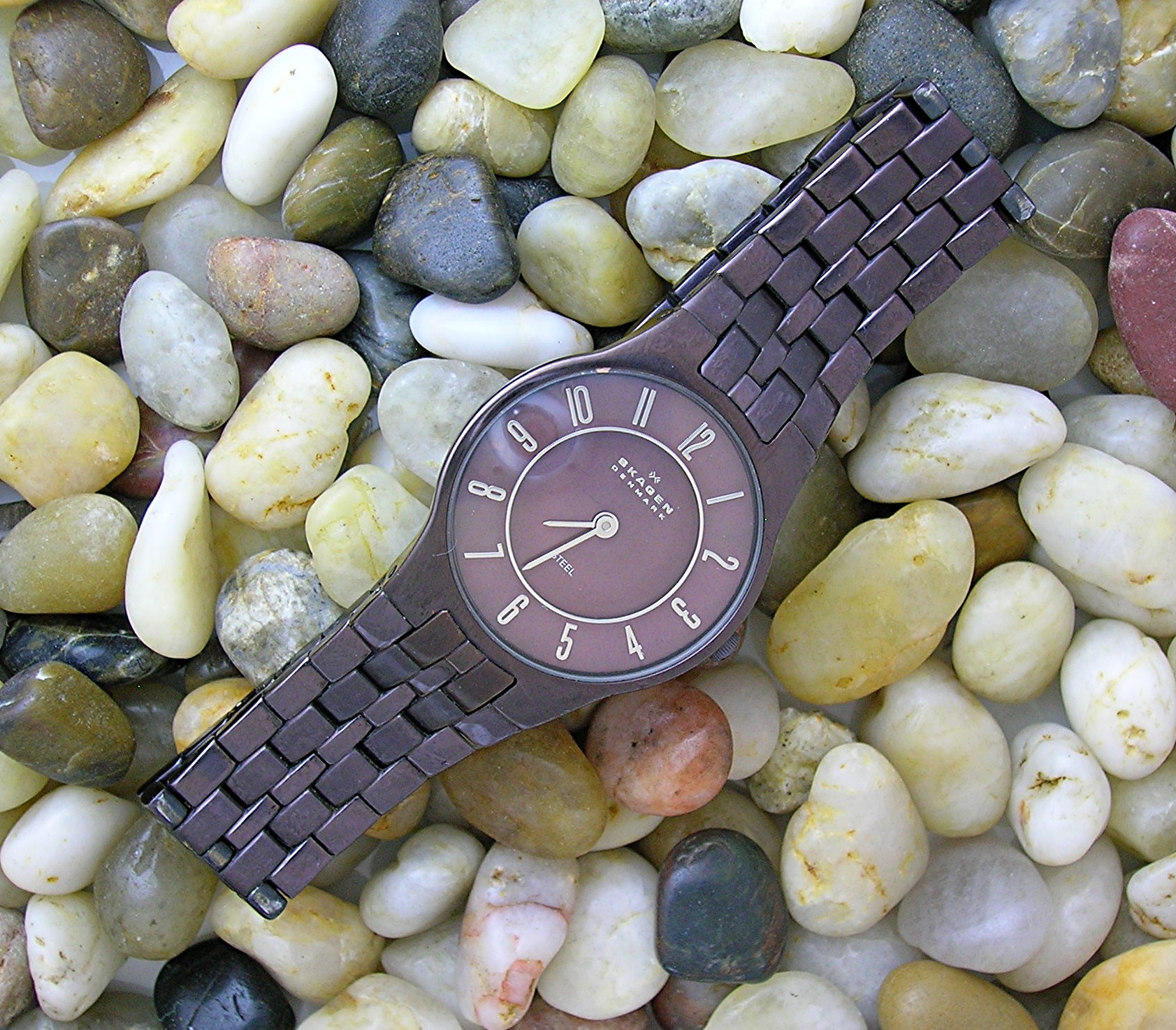 Skagen Grey Steel Ladies Wristwatch.