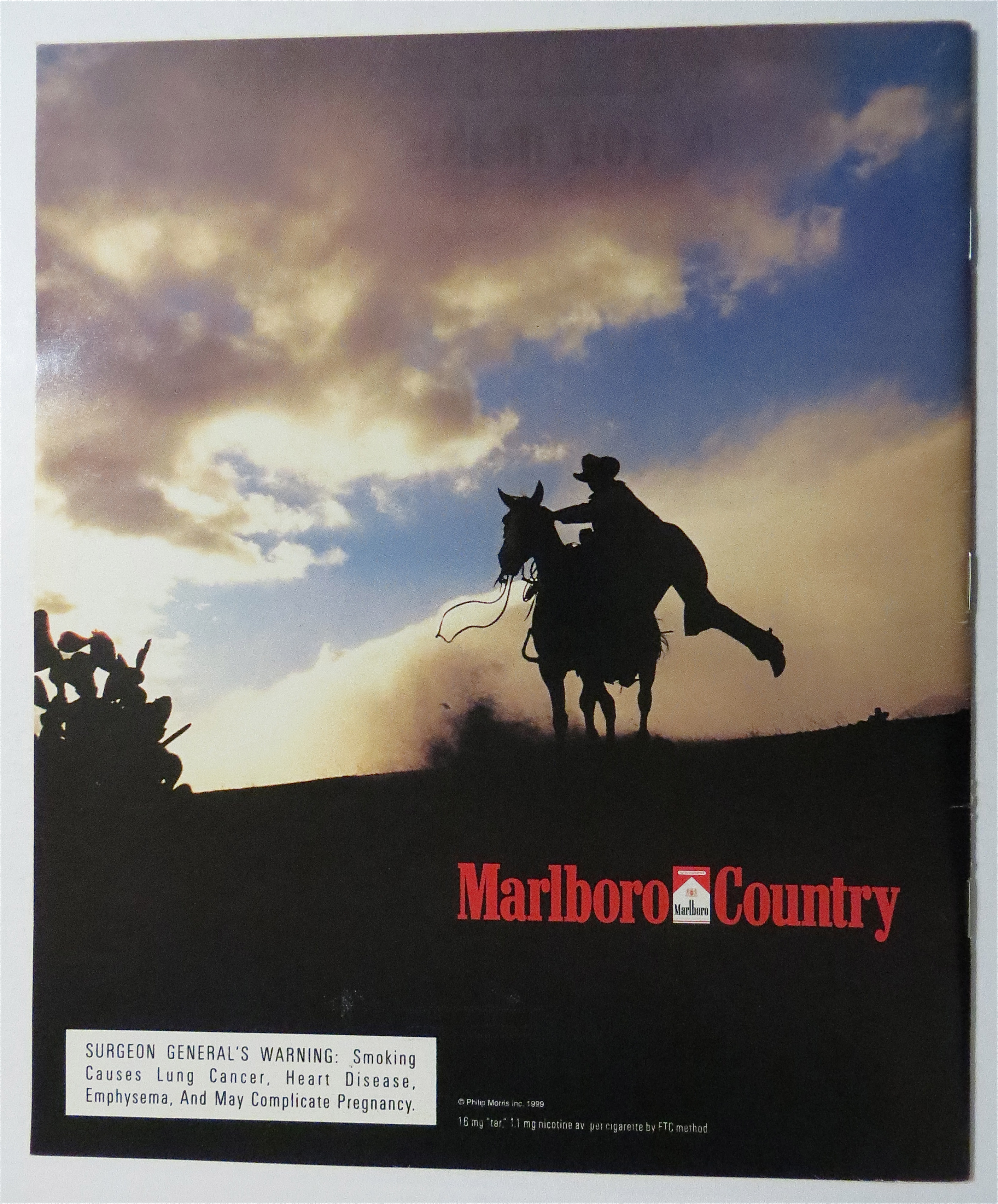 Rolling Stone February 3, 2000 New American Family
