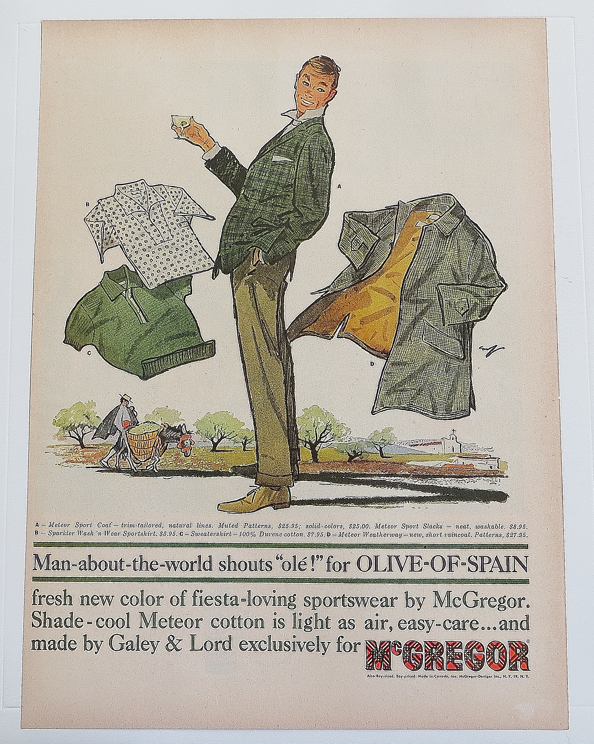 1960 McGregor Olive Of Spain With Man In Suit
