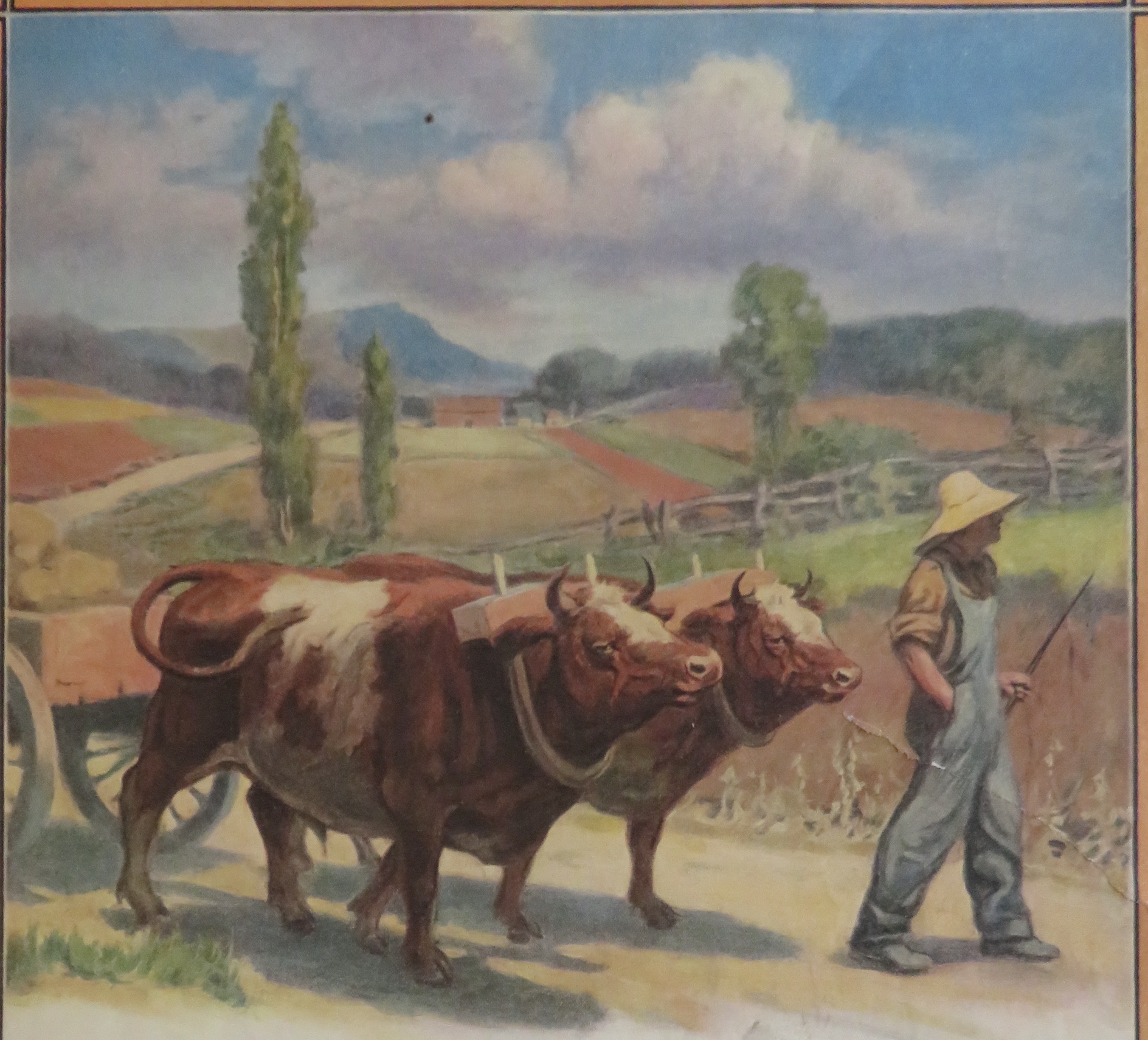 1912 Grape Nuts Cereal with Farmer Walking with 2 Cows