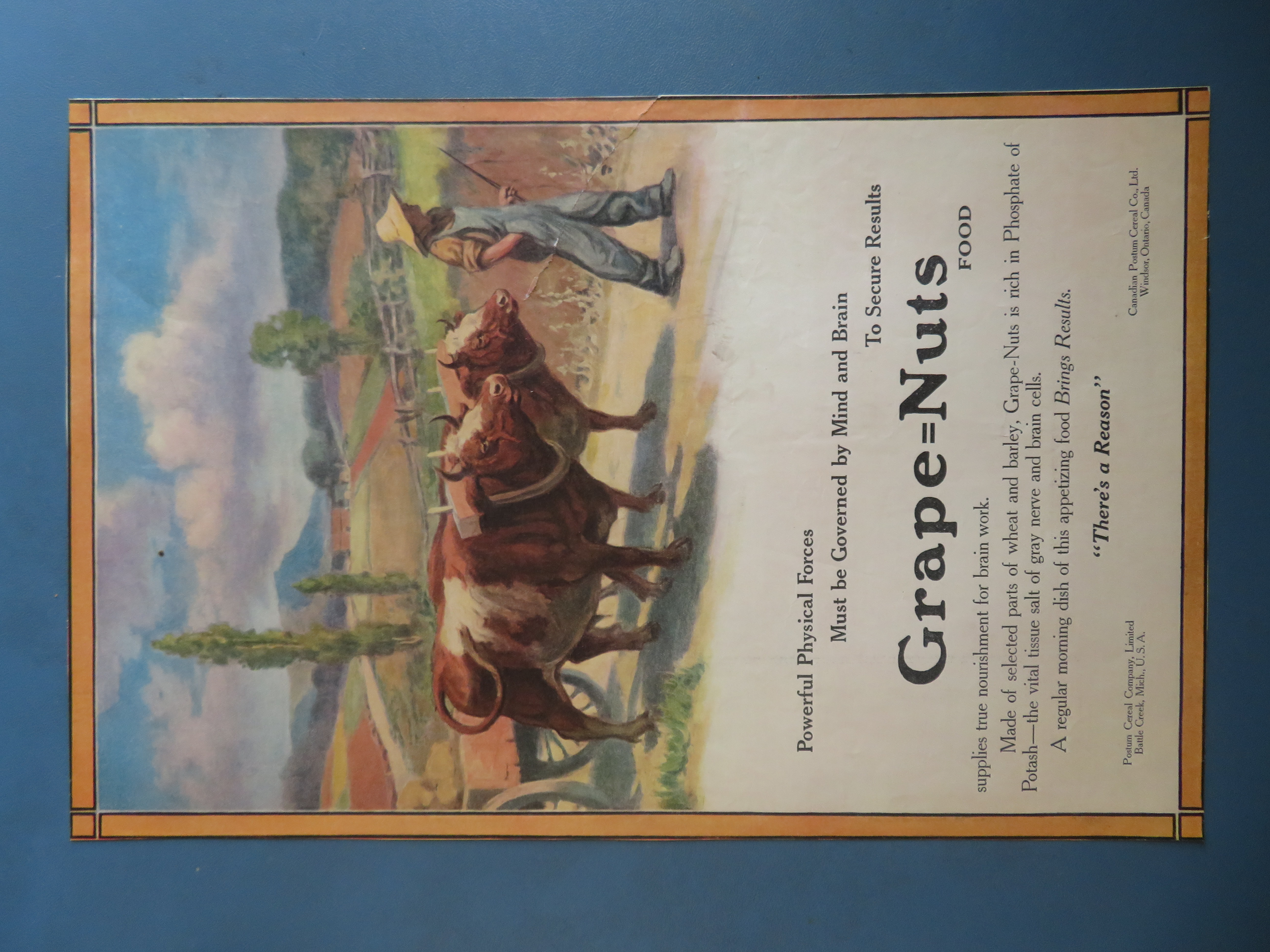 1912 Grape Nuts Cereal with Farmer Walking with 2 Cows