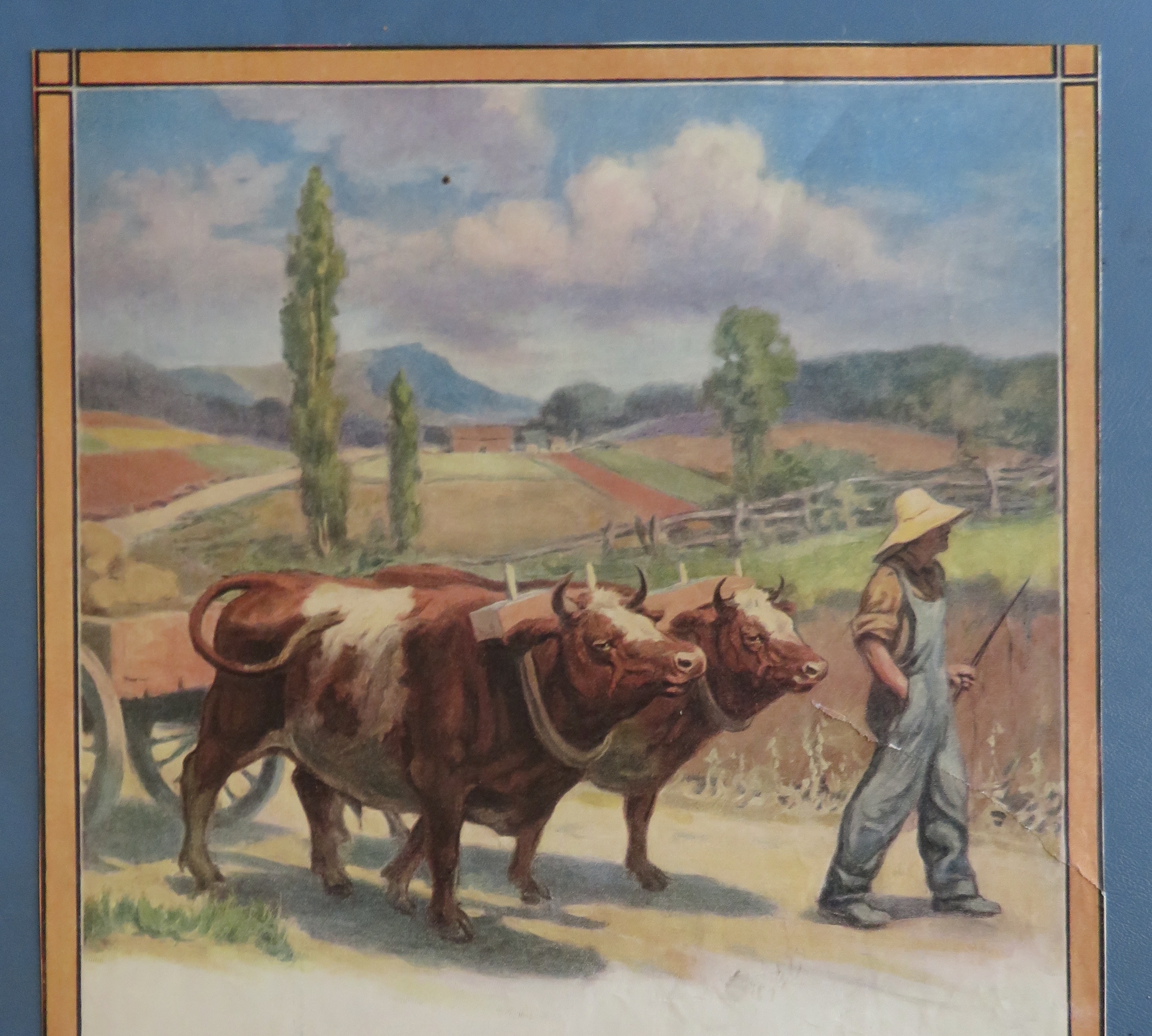 1912 Grape Nuts Cereal with Farmer Walking with 2 Cows
