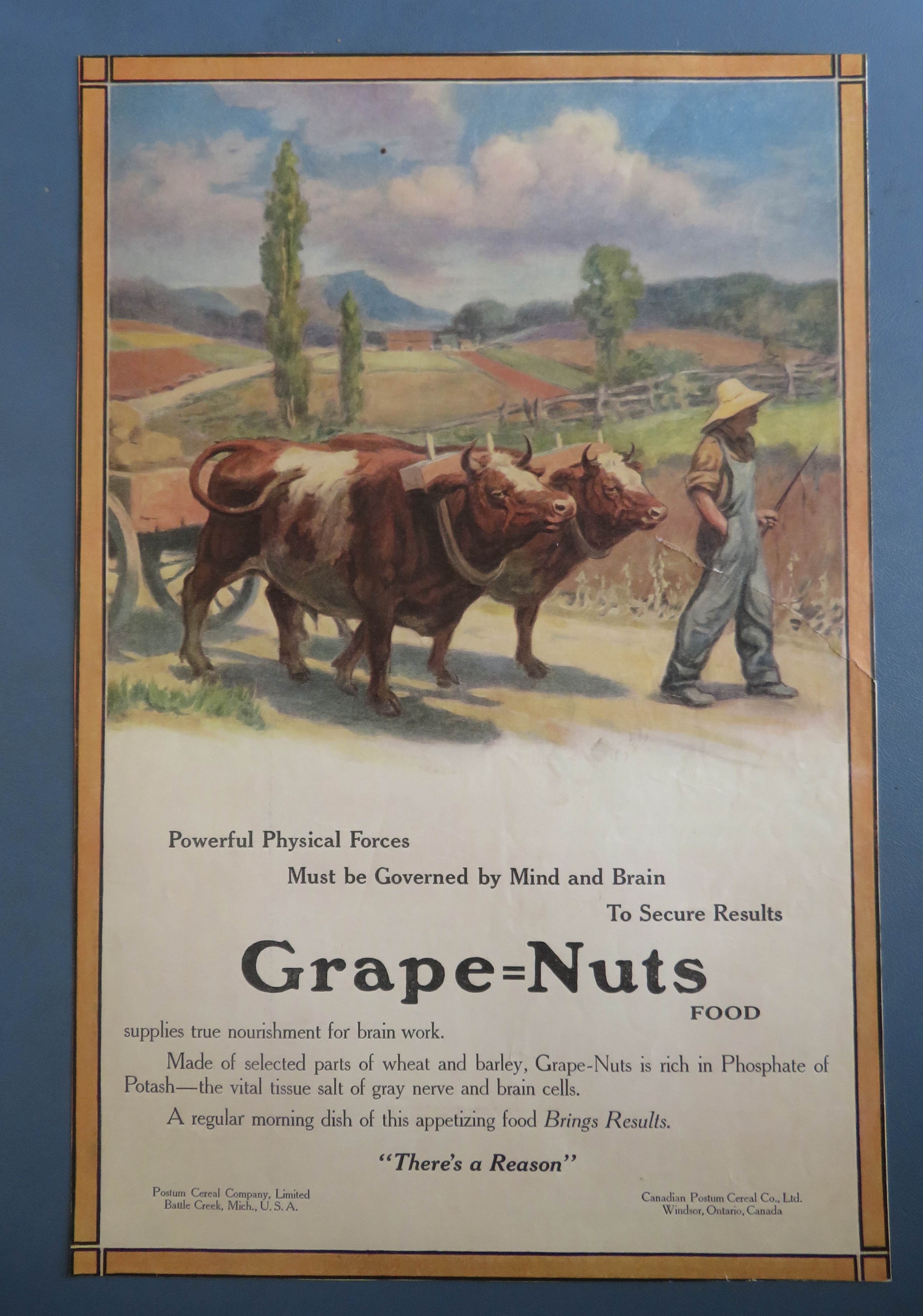 1912 Grape Nuts Cereal with Farmer Walking with 2 Cows