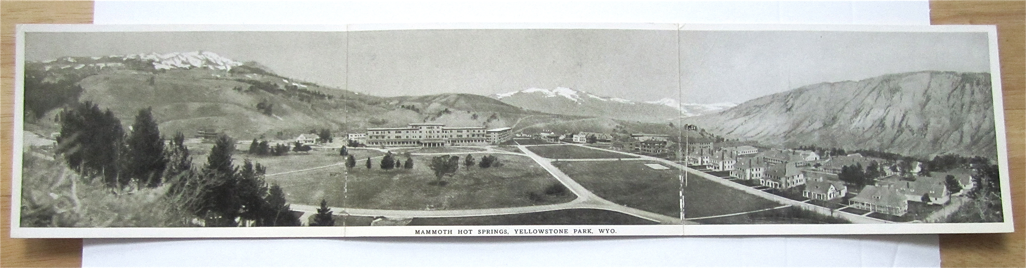 Mammoth Hot Springs, Yellowstone Park, Wyoming Postcard